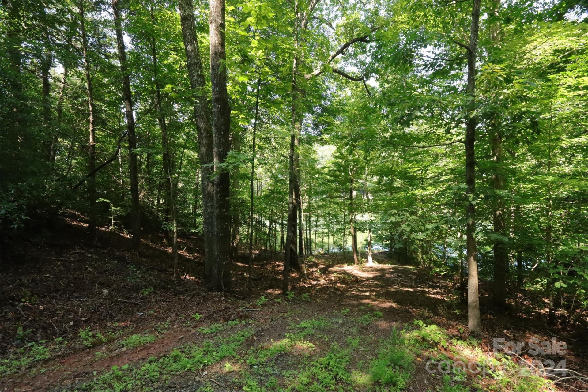 1733 Buffalo Creek Road - Photo 5