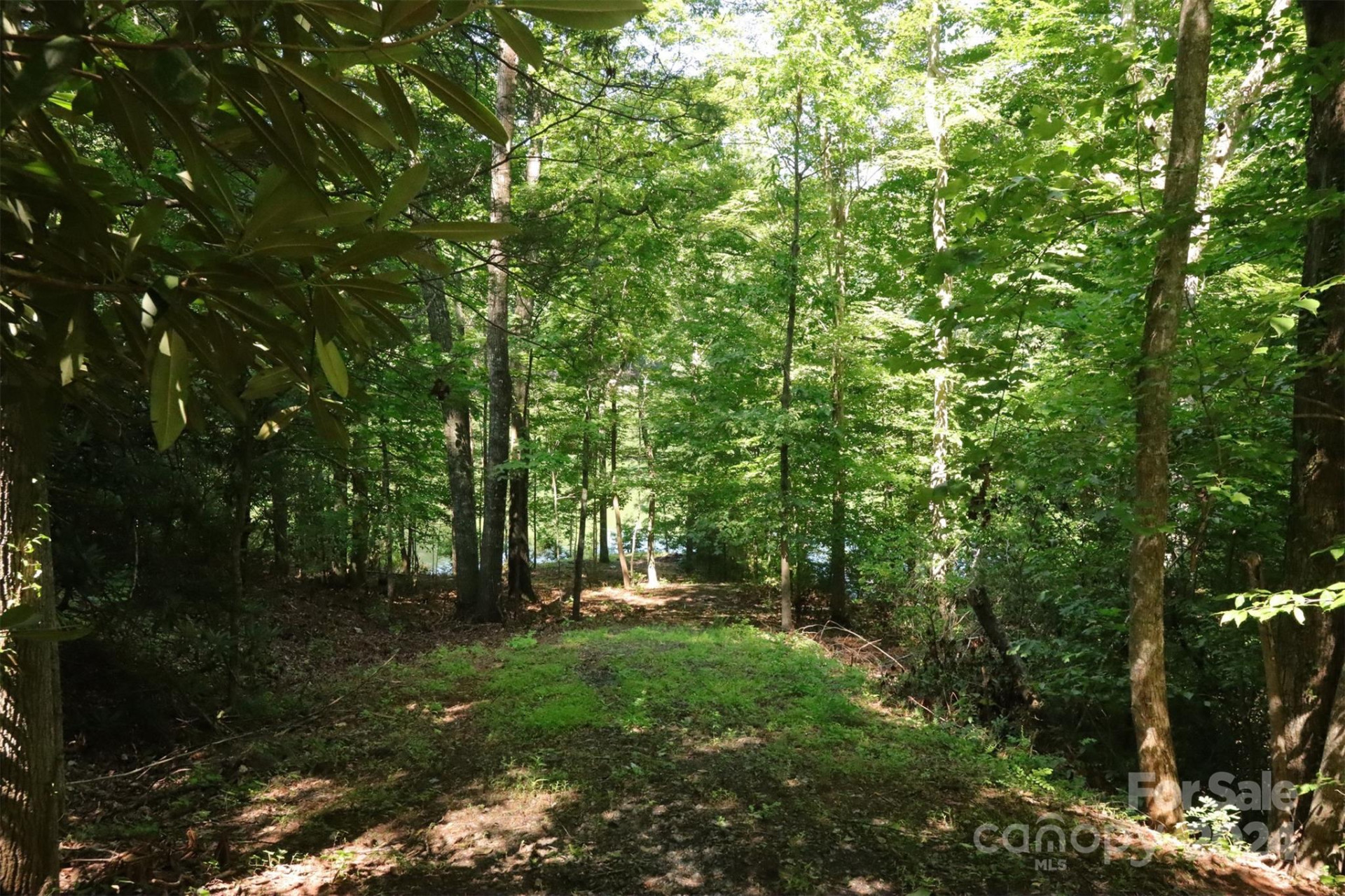 1733 Buffalo Creek Road - Photo 6