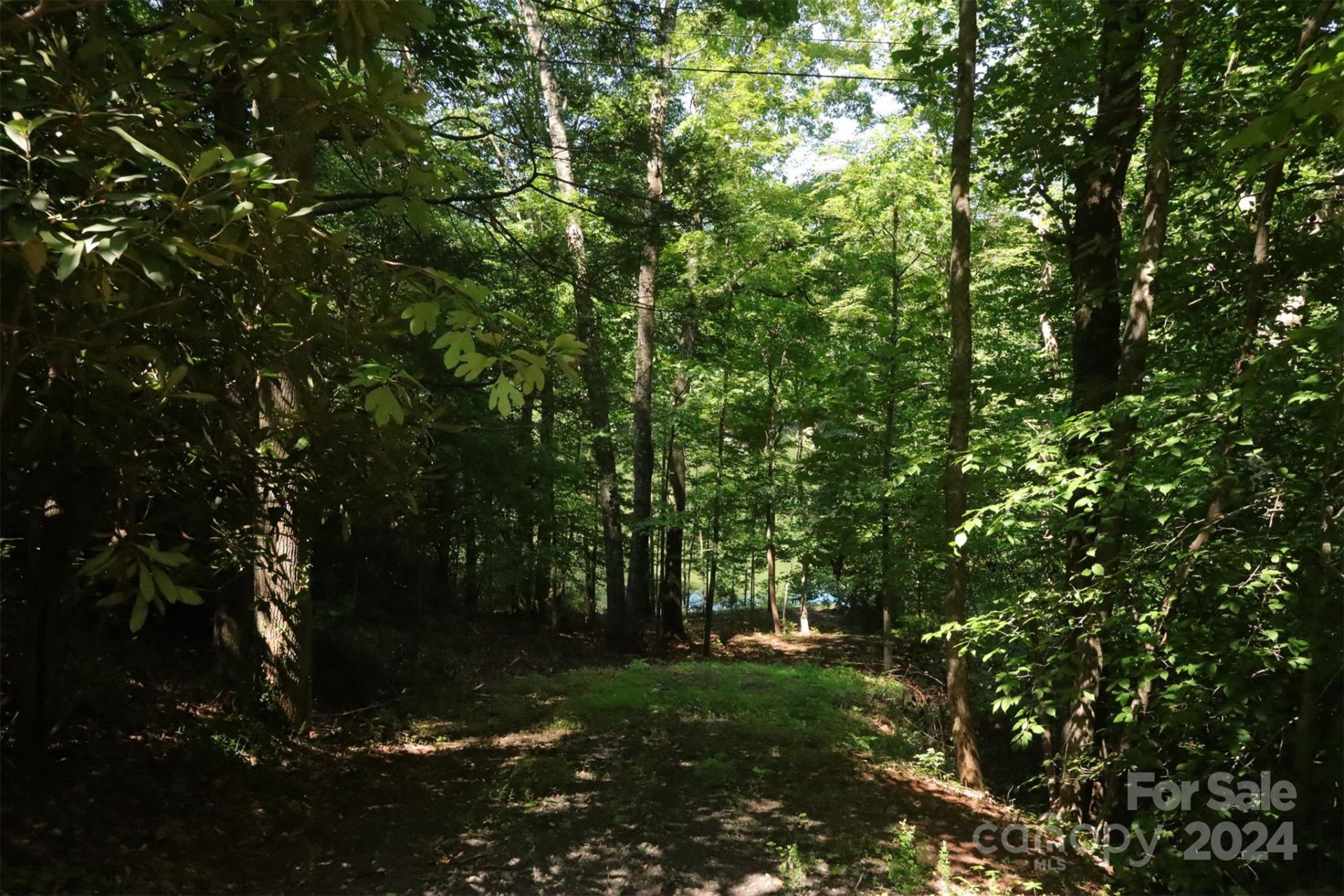 1733 Buffalo Creek Road - Photo 7