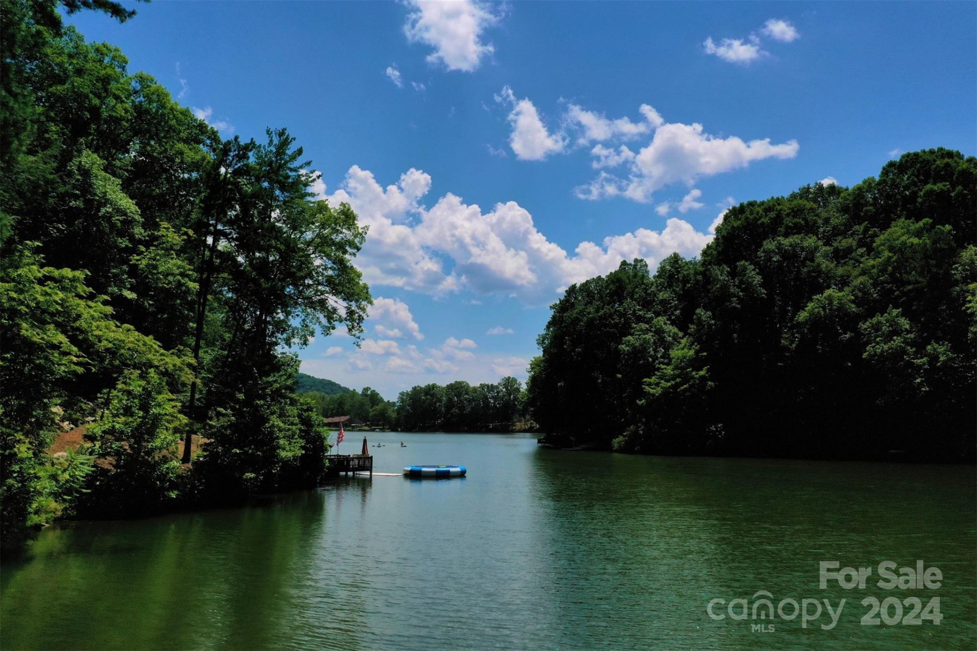 1733 Buffalo Creek Road - Photo 8