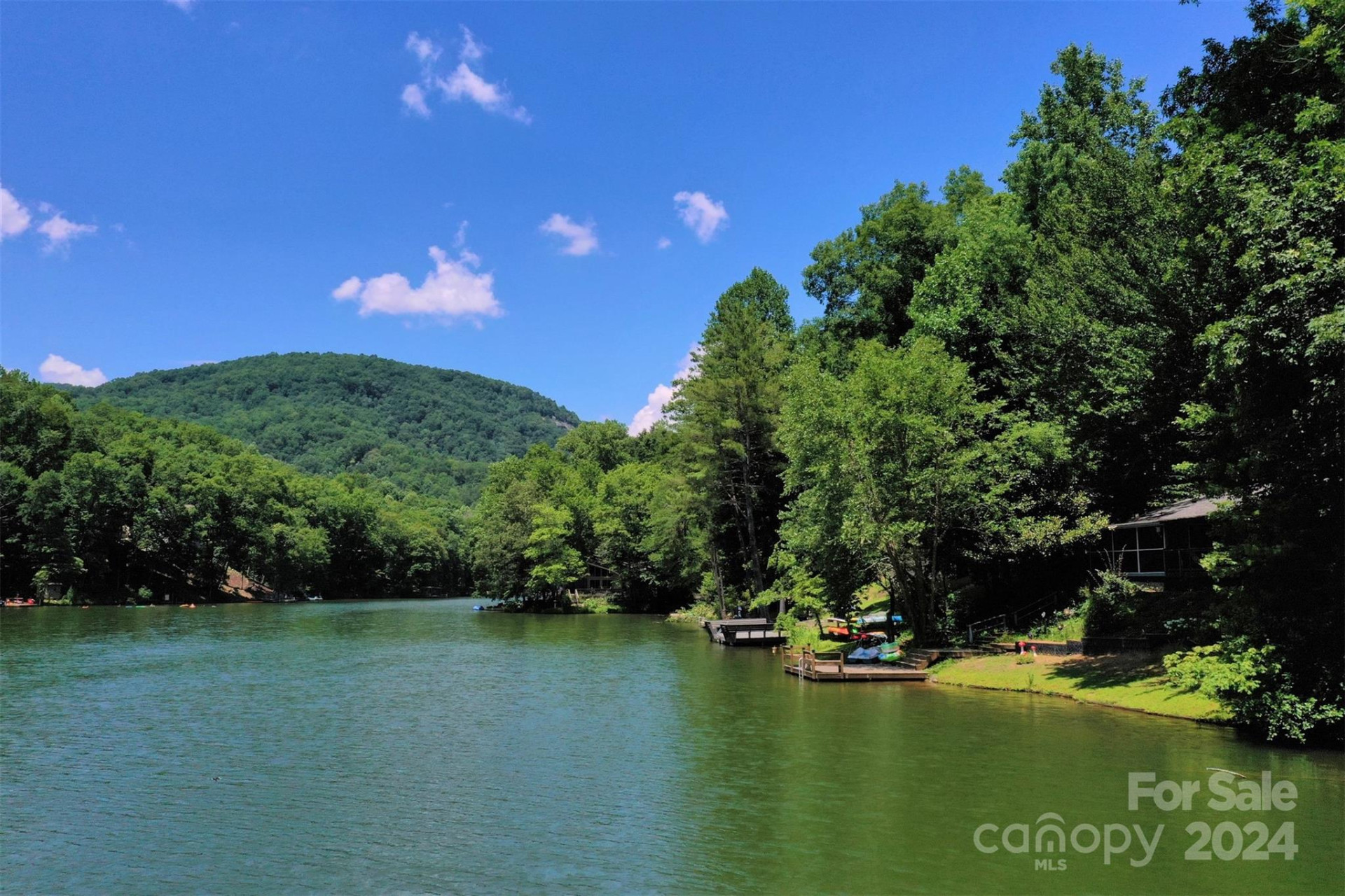 1733 Buffalo Creek Road - Photo 9