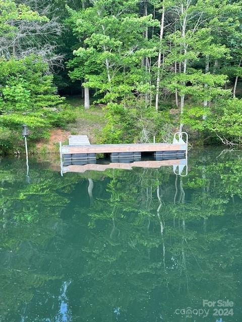 1733 Buffalo Creek Road - Photo 10