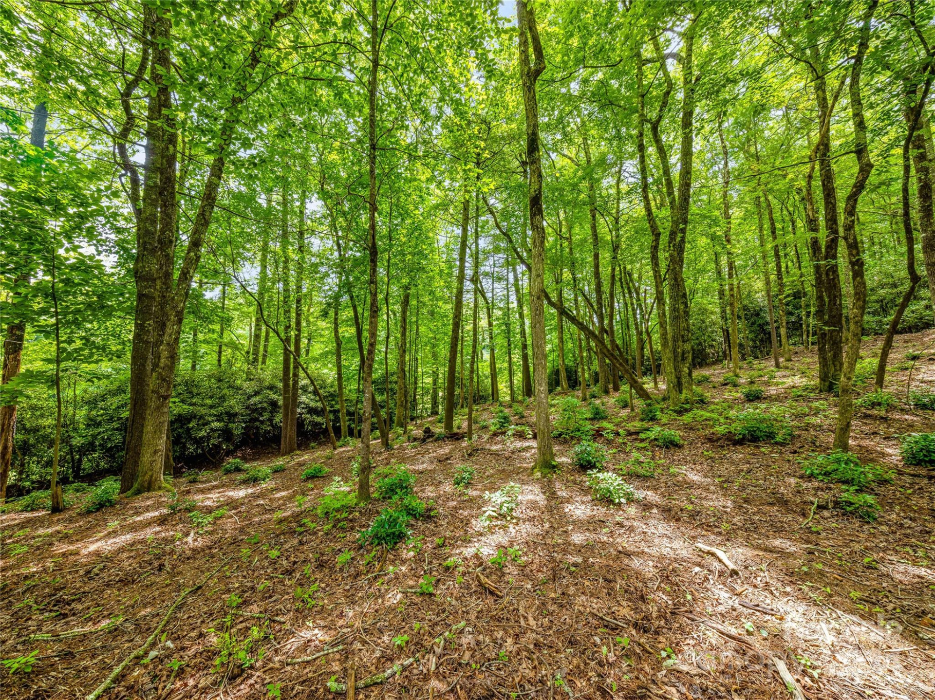 K 28 Chestnut Trace - Photo 7