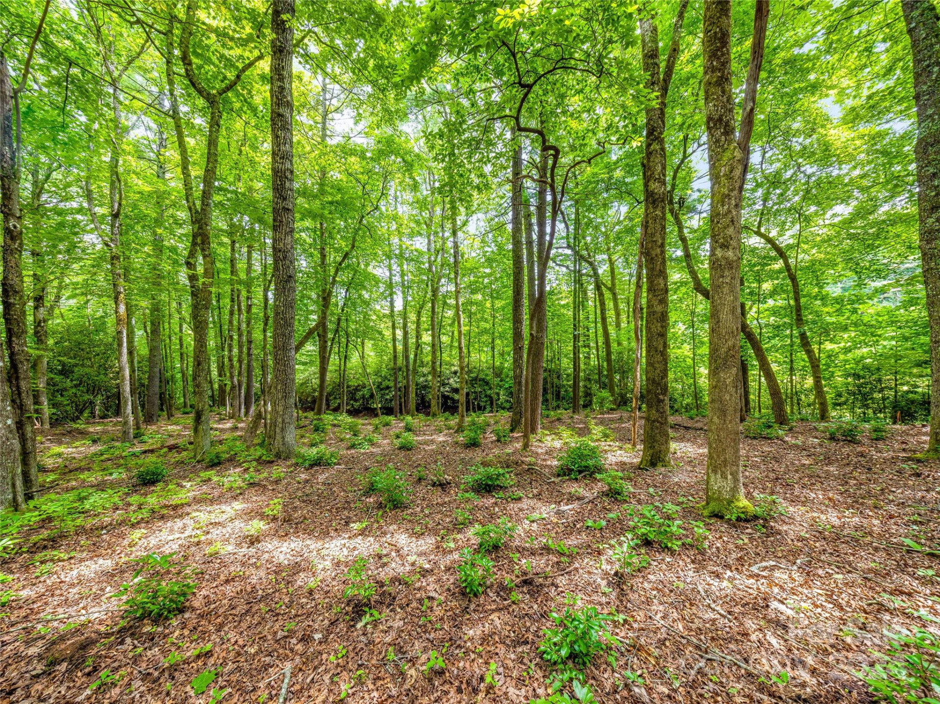 K 28 Chestnut Trace - Photo 8