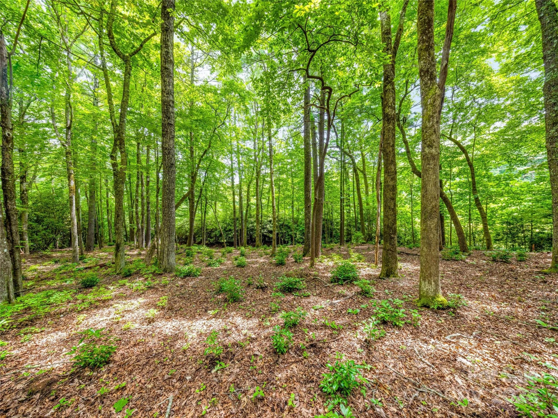 K 28 Chestnut Trace - Photo 8