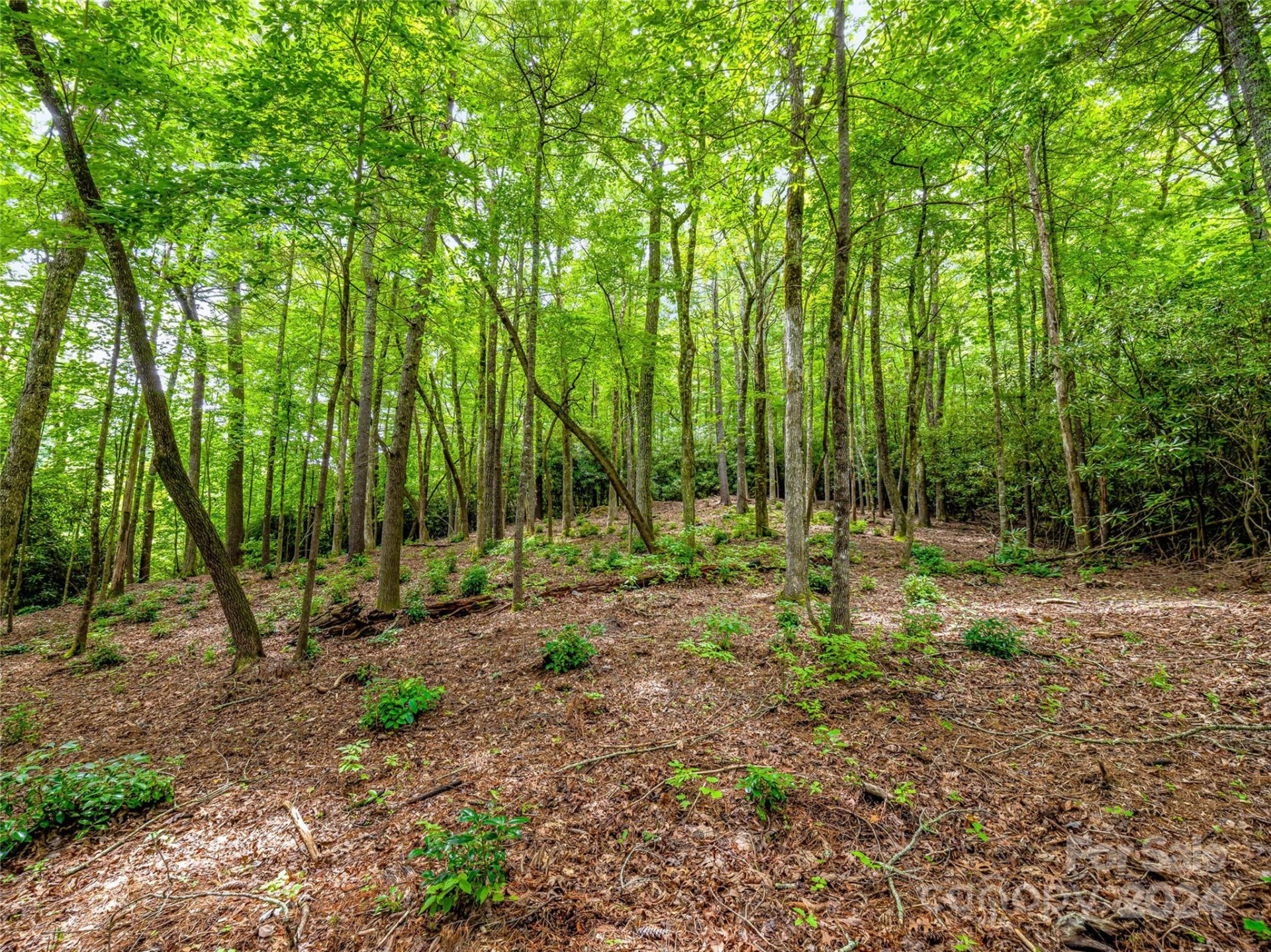 K 28 Chestnut Trace - Photo 9