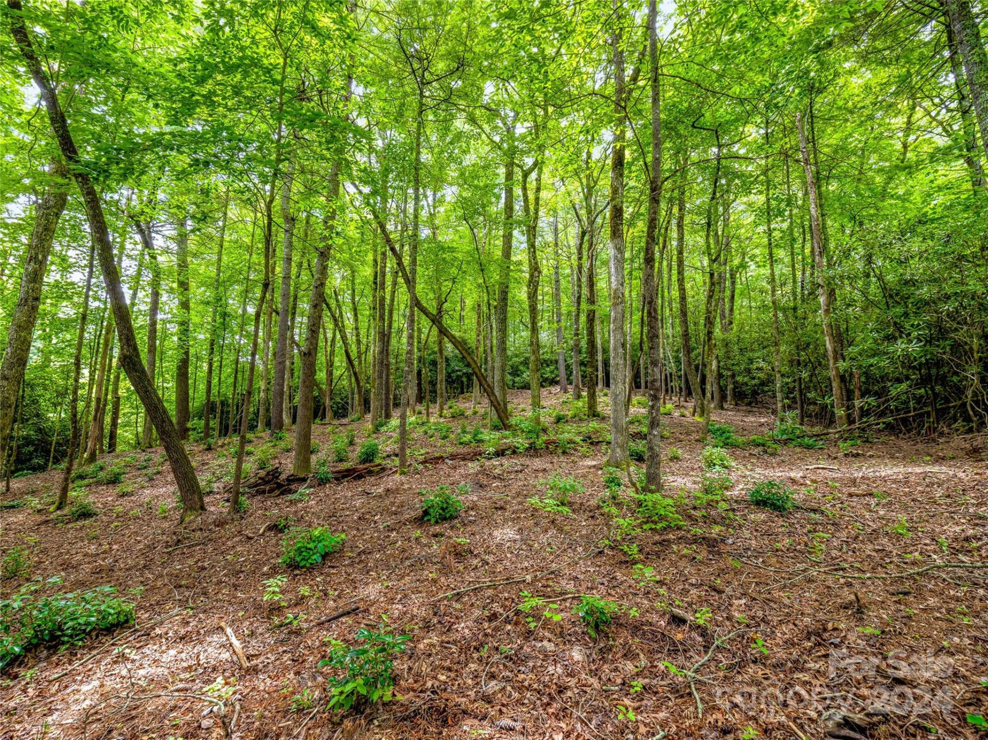 K 28 Chestnut Trace - Photo 9