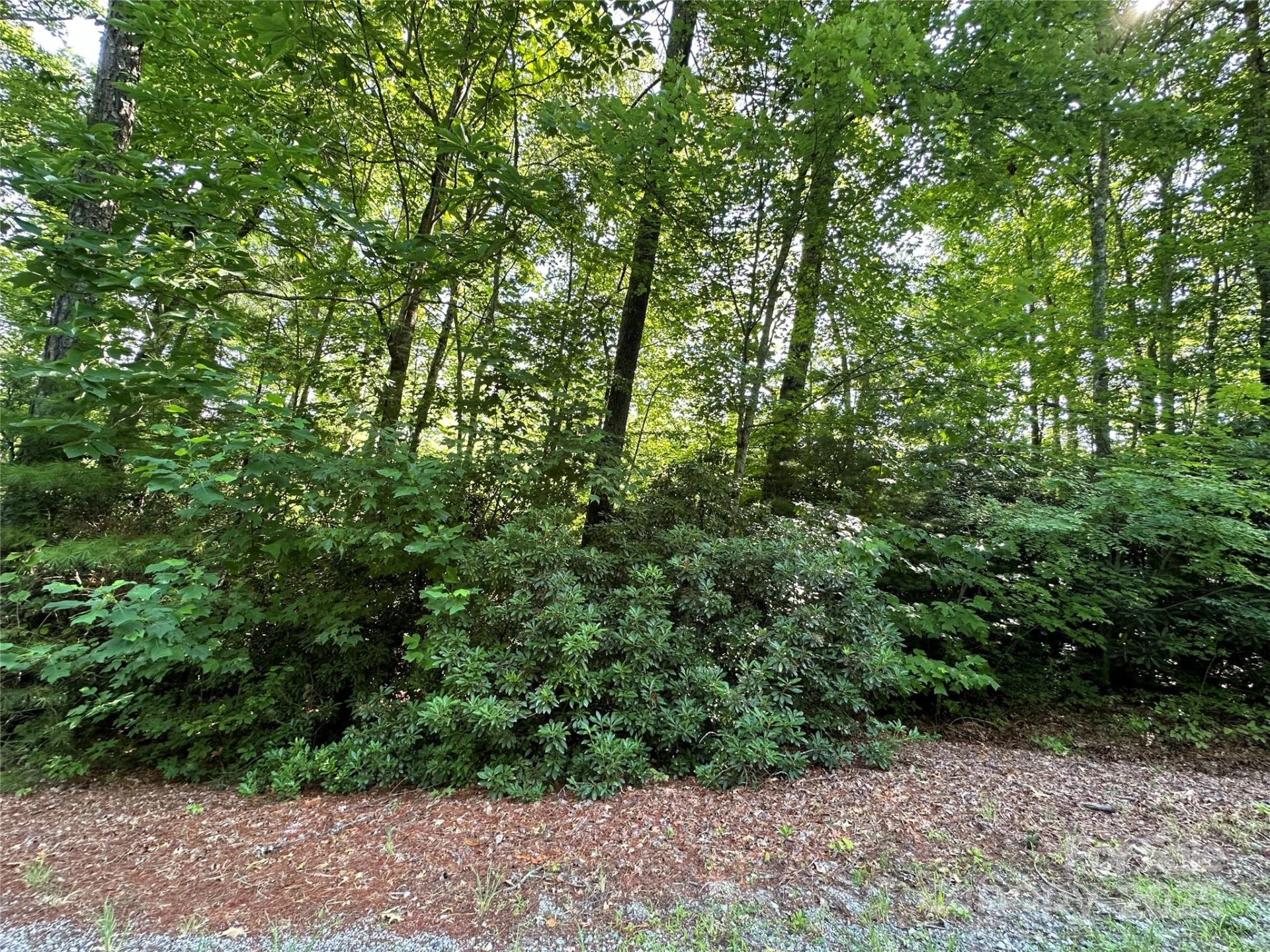 67 Peppervine Circle - Photo 2