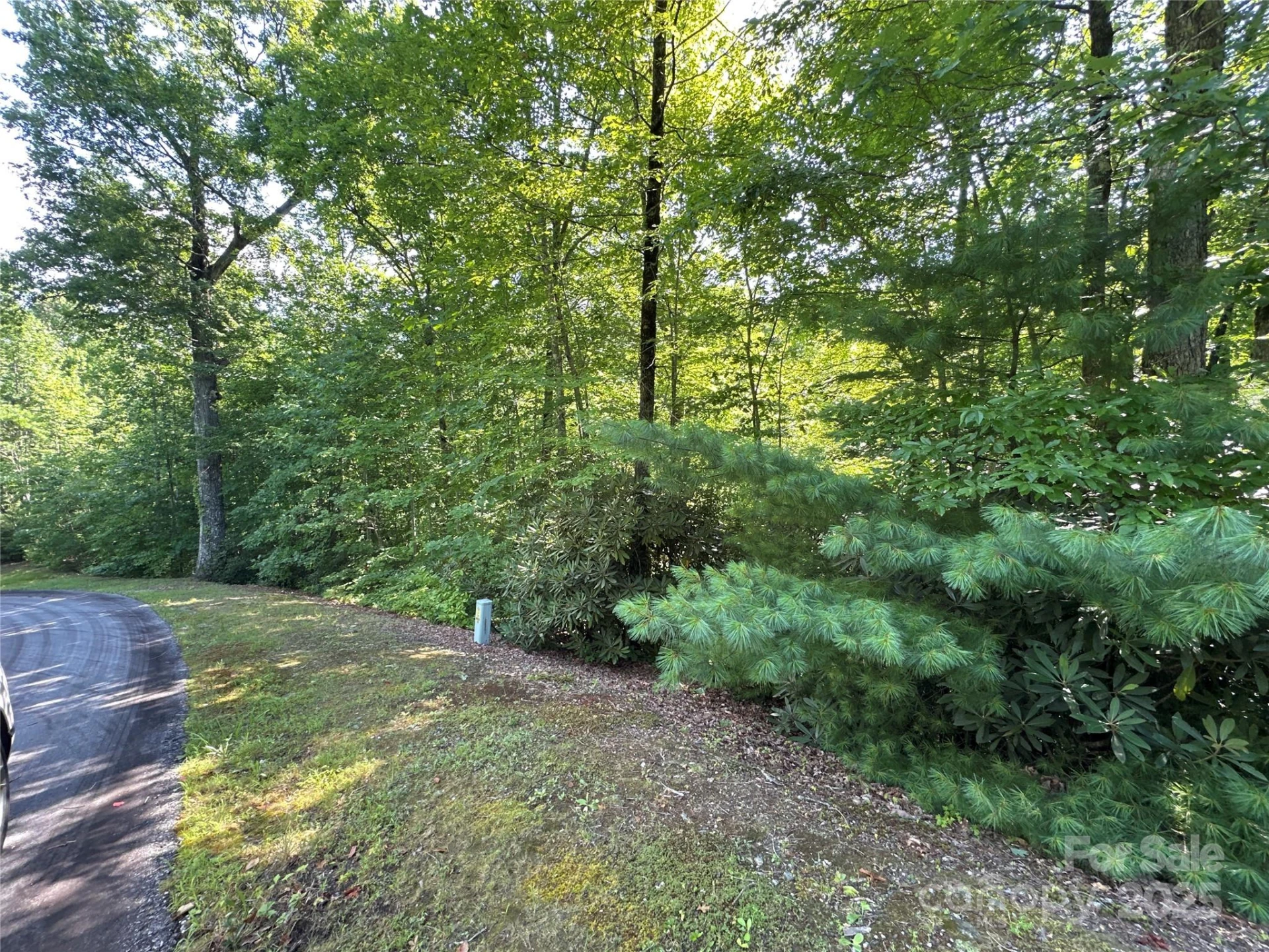 67 Peppervine Circle - Photo 3