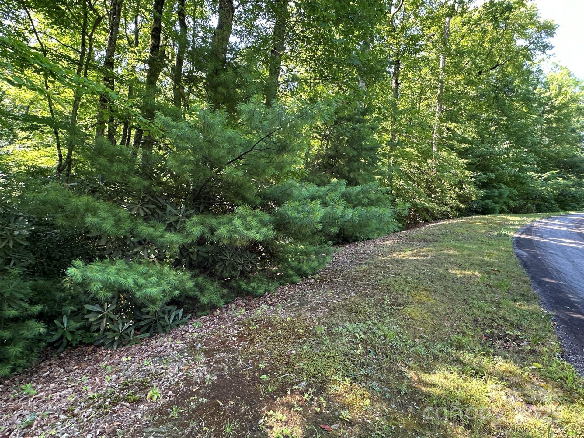 67 Peppervine Circle - Photo 26