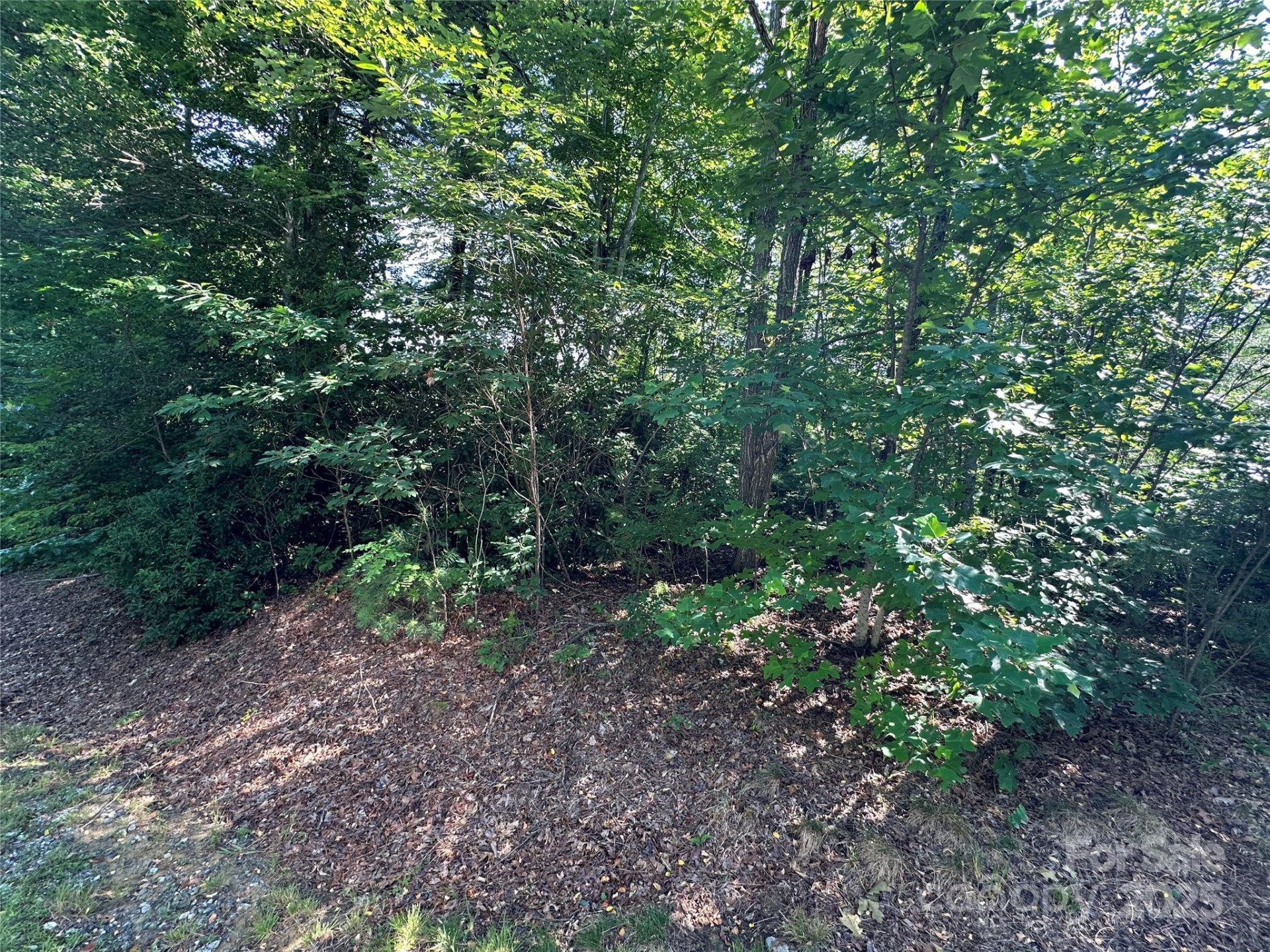 67 Peppervine Circle - Photo 29