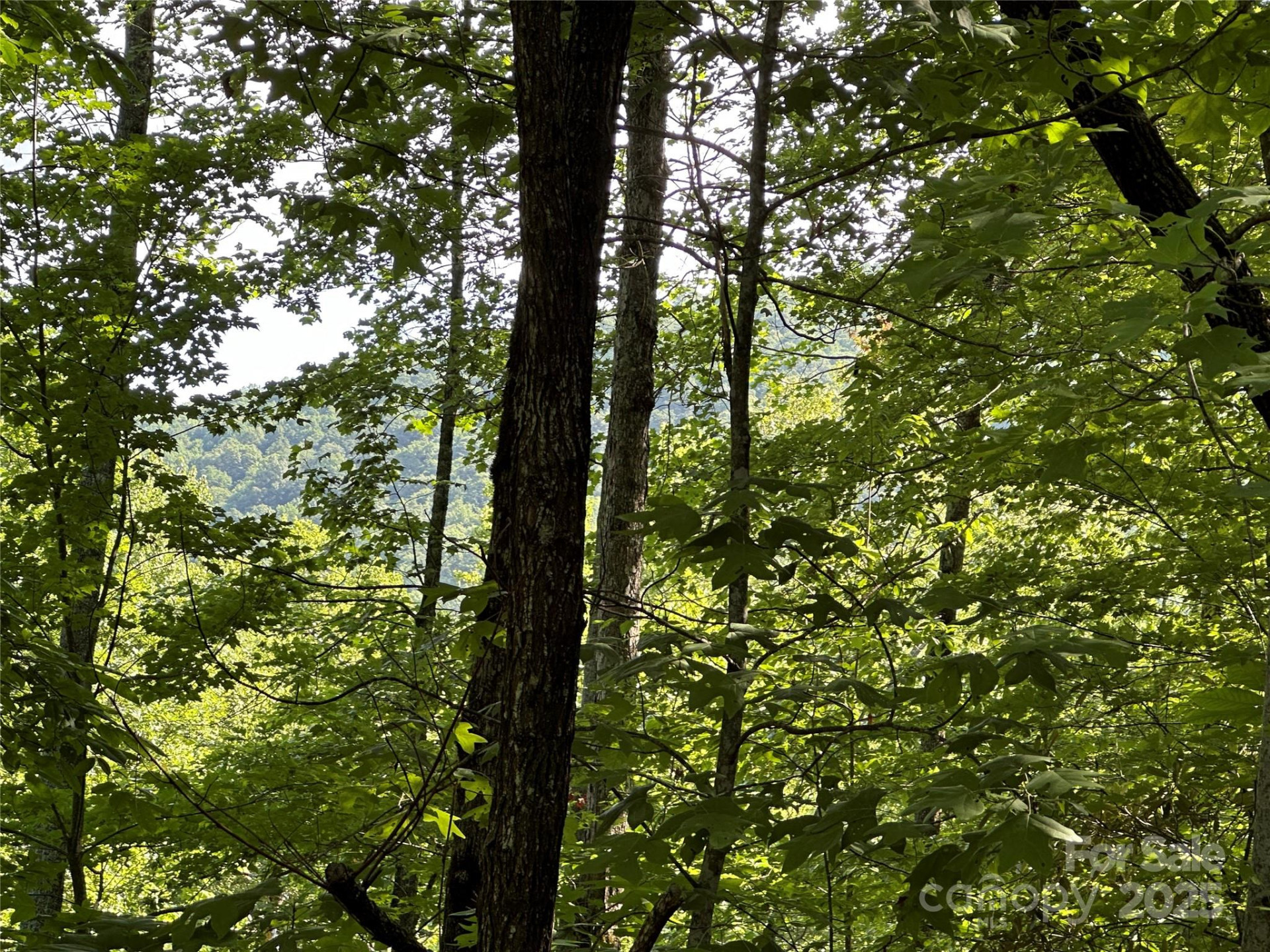 67 Peppervine Circle - Photo 4