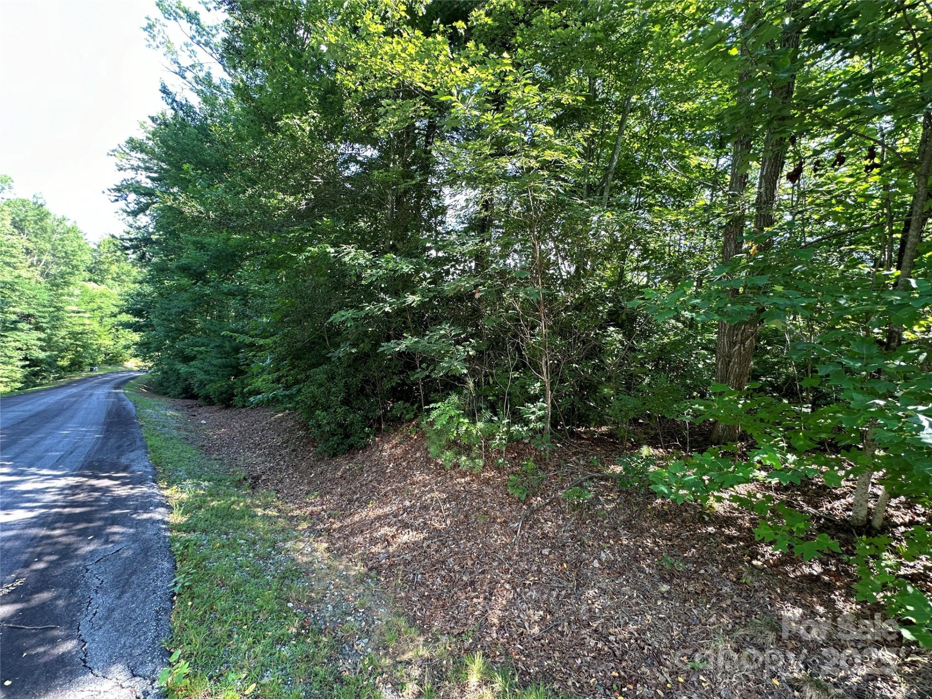 67 Peppervine Circle - Photo 31