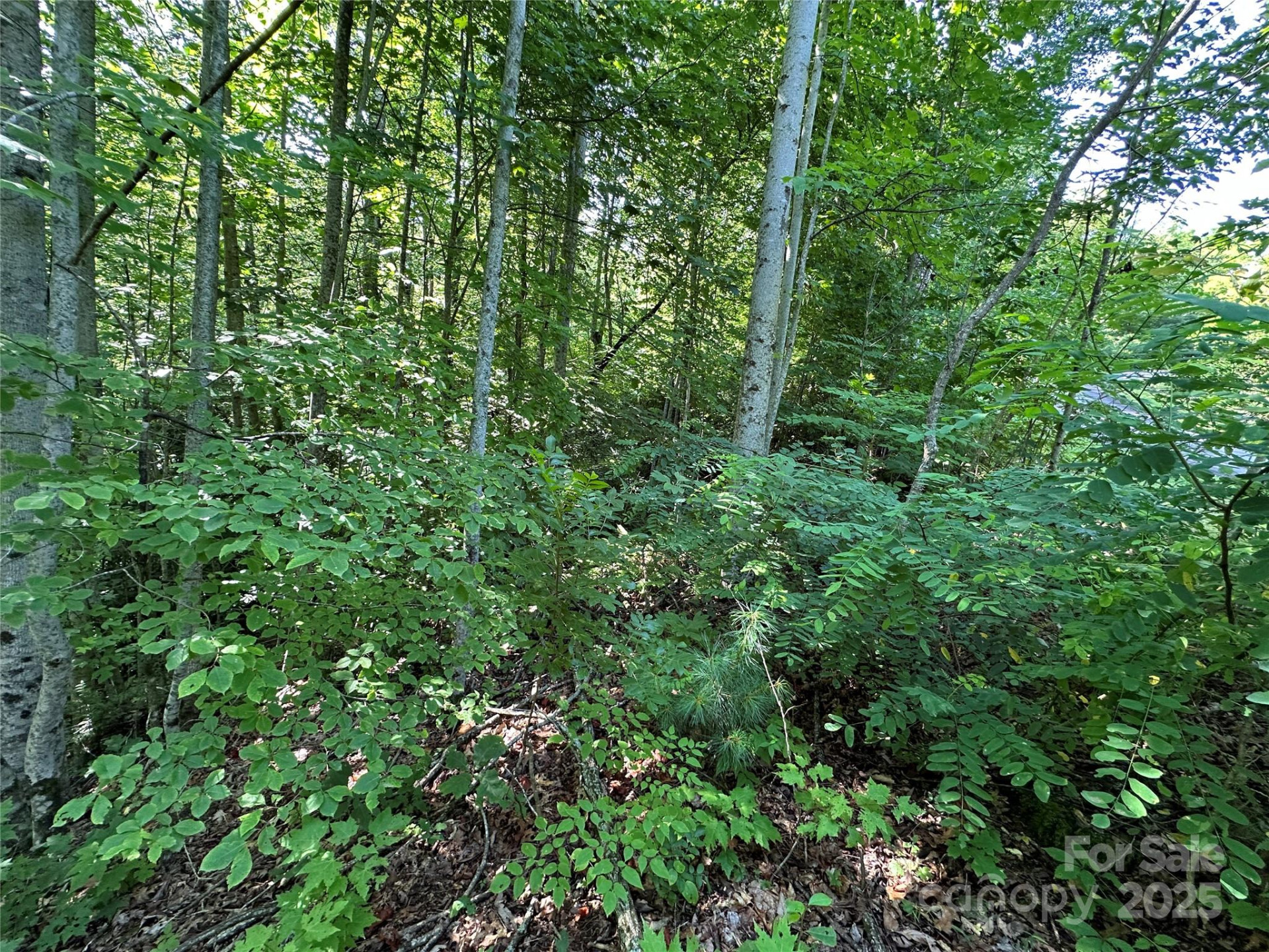 67 Peppervine Circle - Photo 33