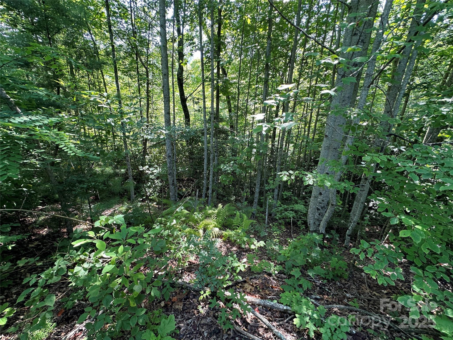 67 Peppervine Circle - Photo 34