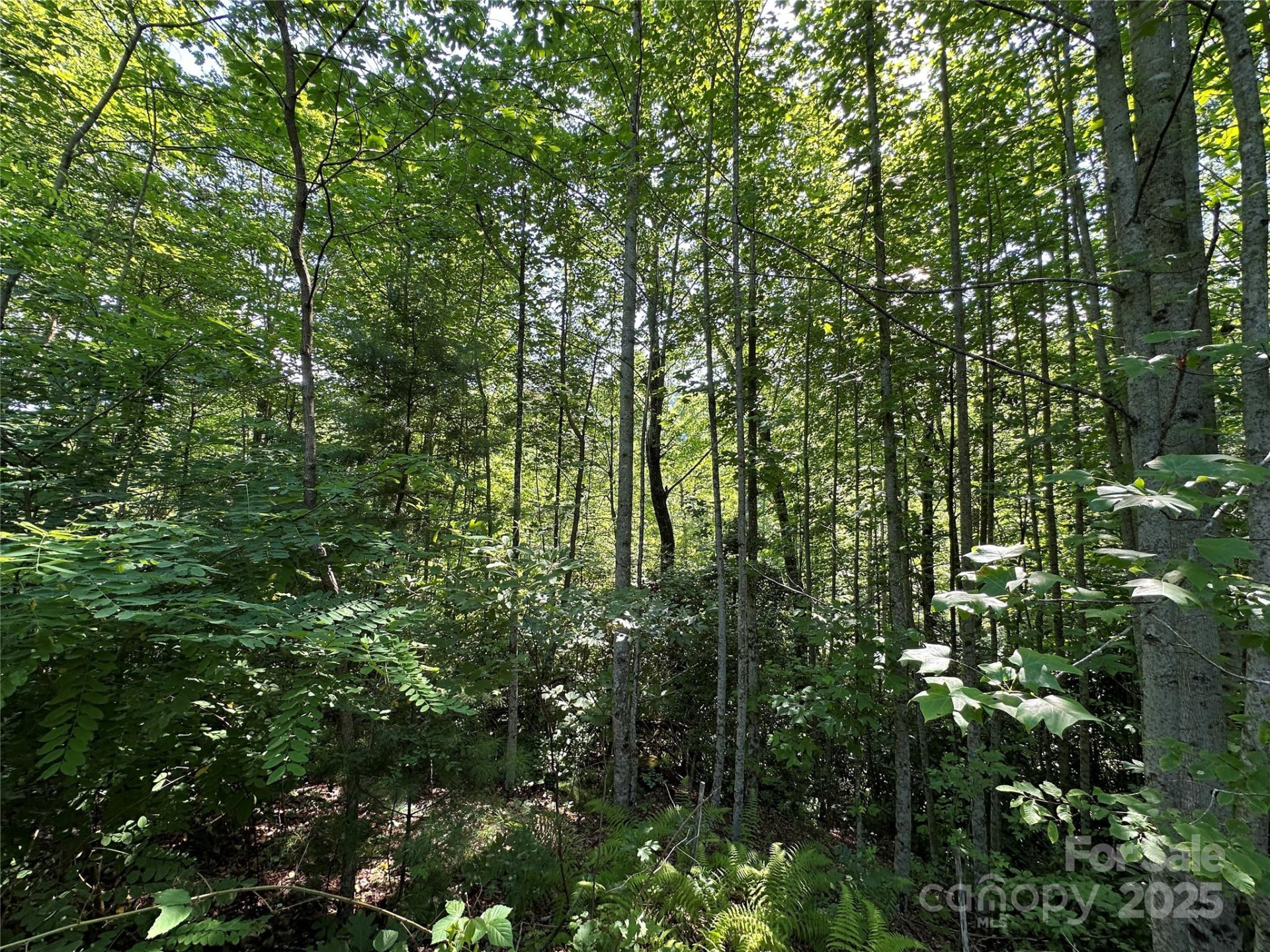 67 Peppervine Circle - Photo 35