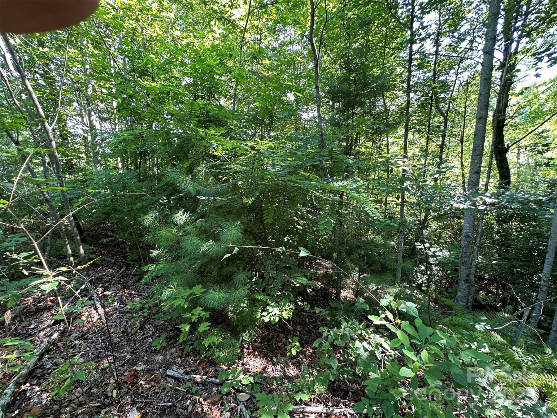 67 Peppervine Circle - Photo 36