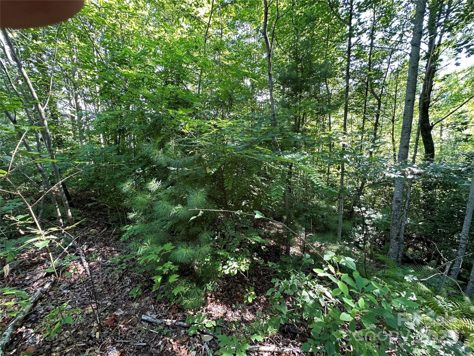 67 Peppervine Circle - Photo 36