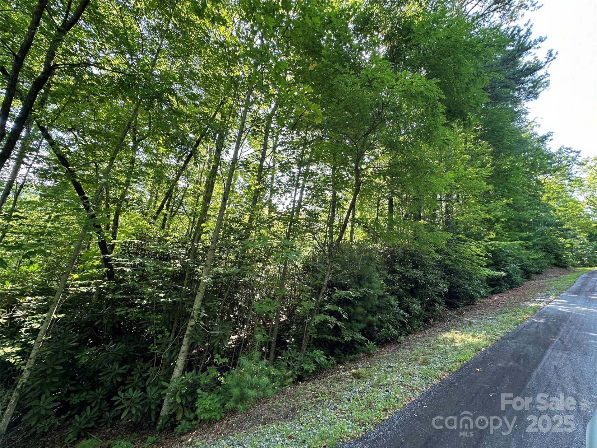 67 Peppervine Circle - Photo 38