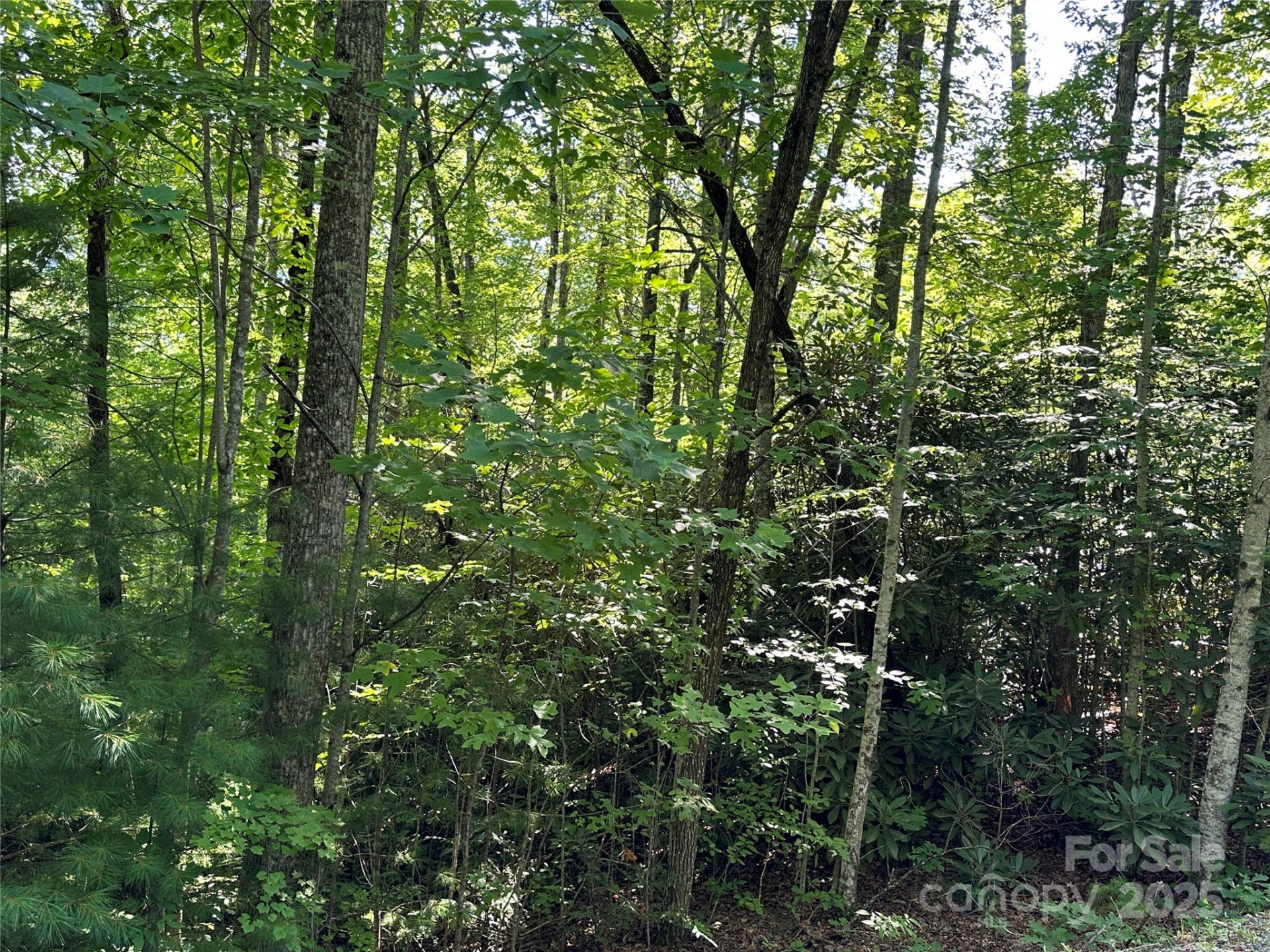 67 Peppervine Circle - Photo 40