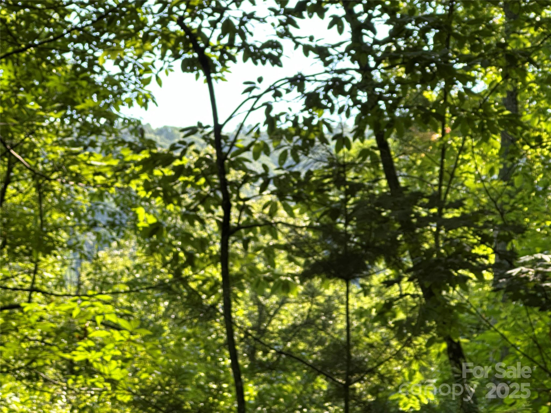 67 Peppervine Circle - Photo 42