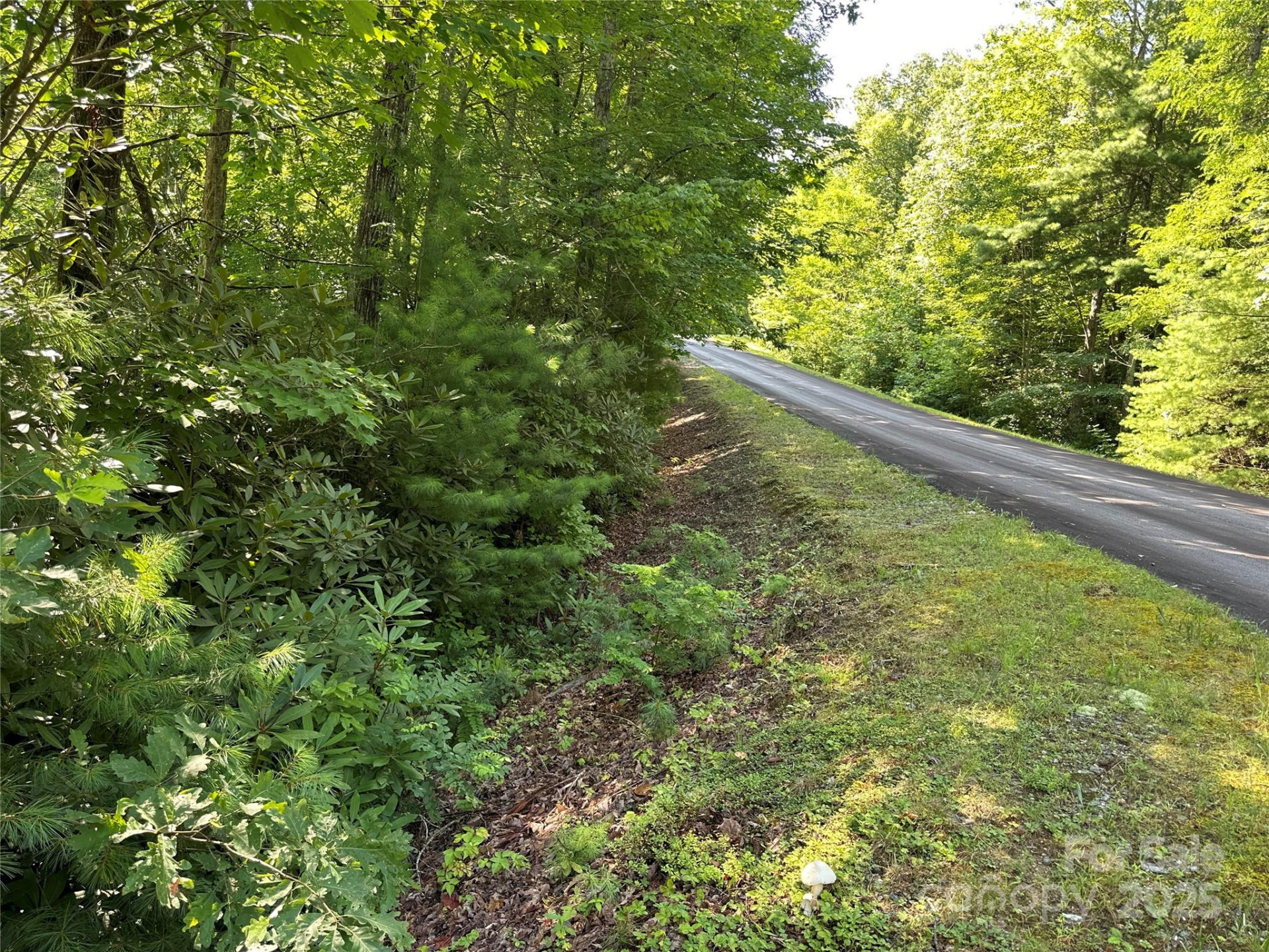 67 Peppervine Circle - Photo 44