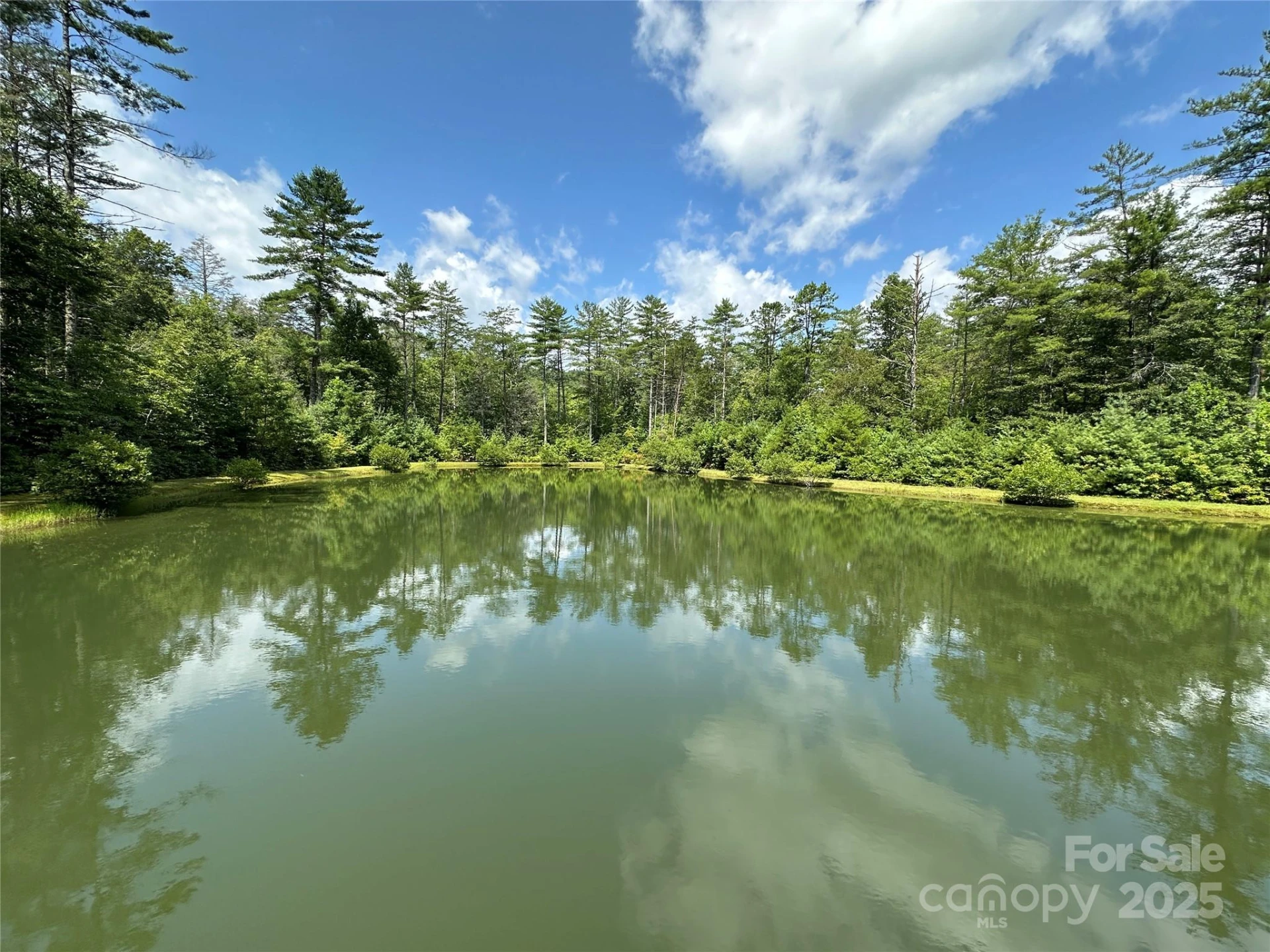 67 Peppervine Circle - Photo 9