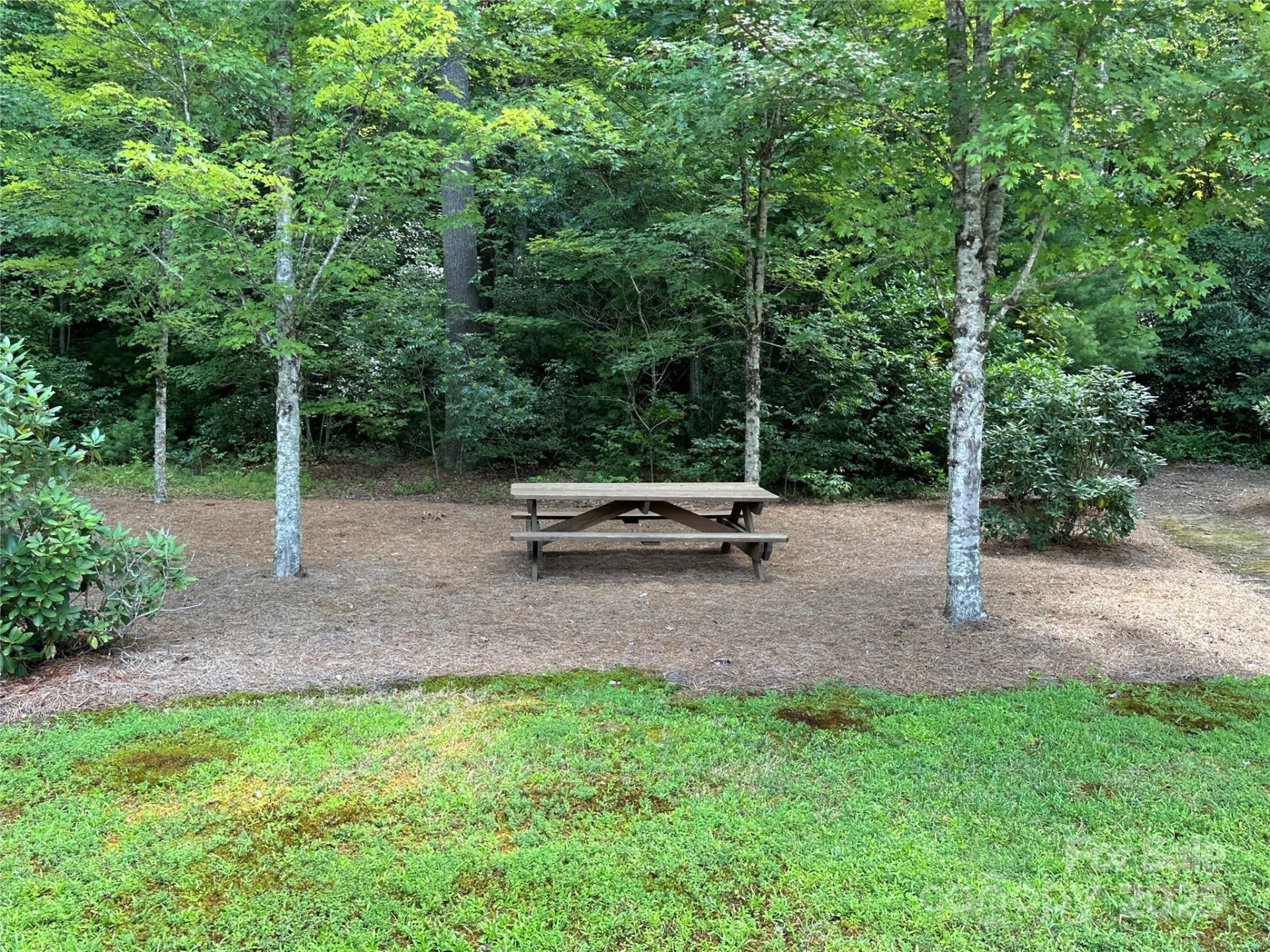 67 Peppervine Circle - Photo 10
