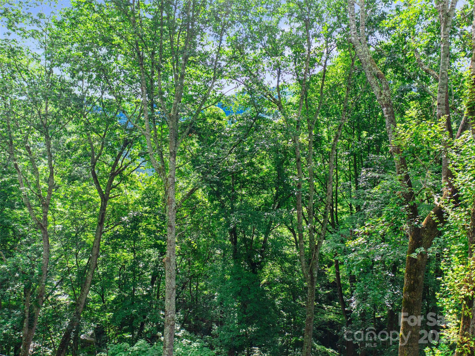 000 Falling Water Drive - Photo 2