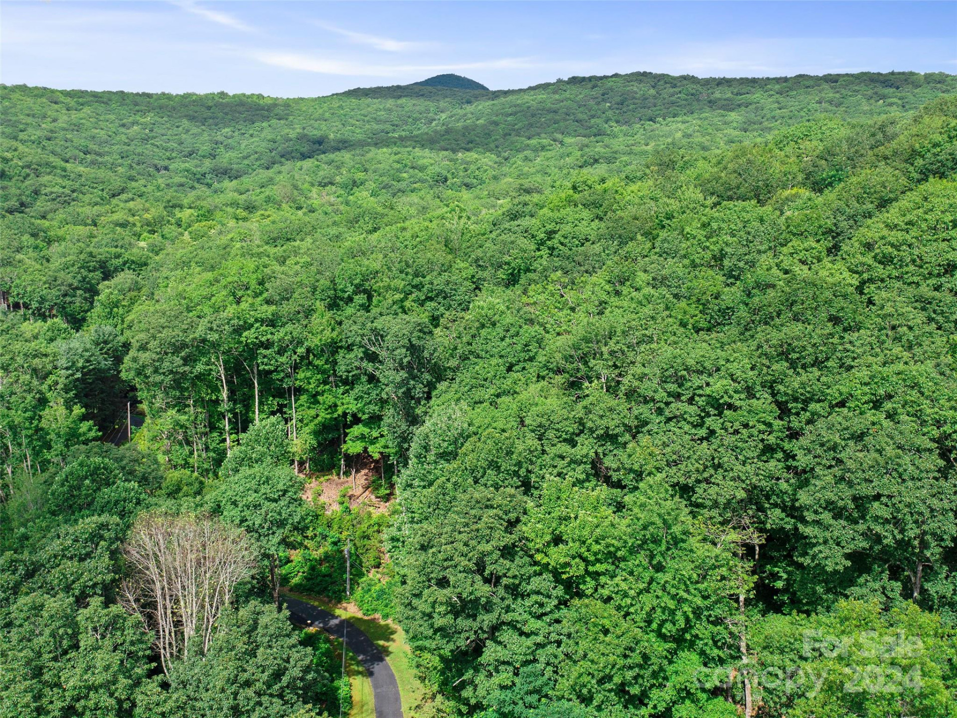 000 Falling Water Drive - Photo 17