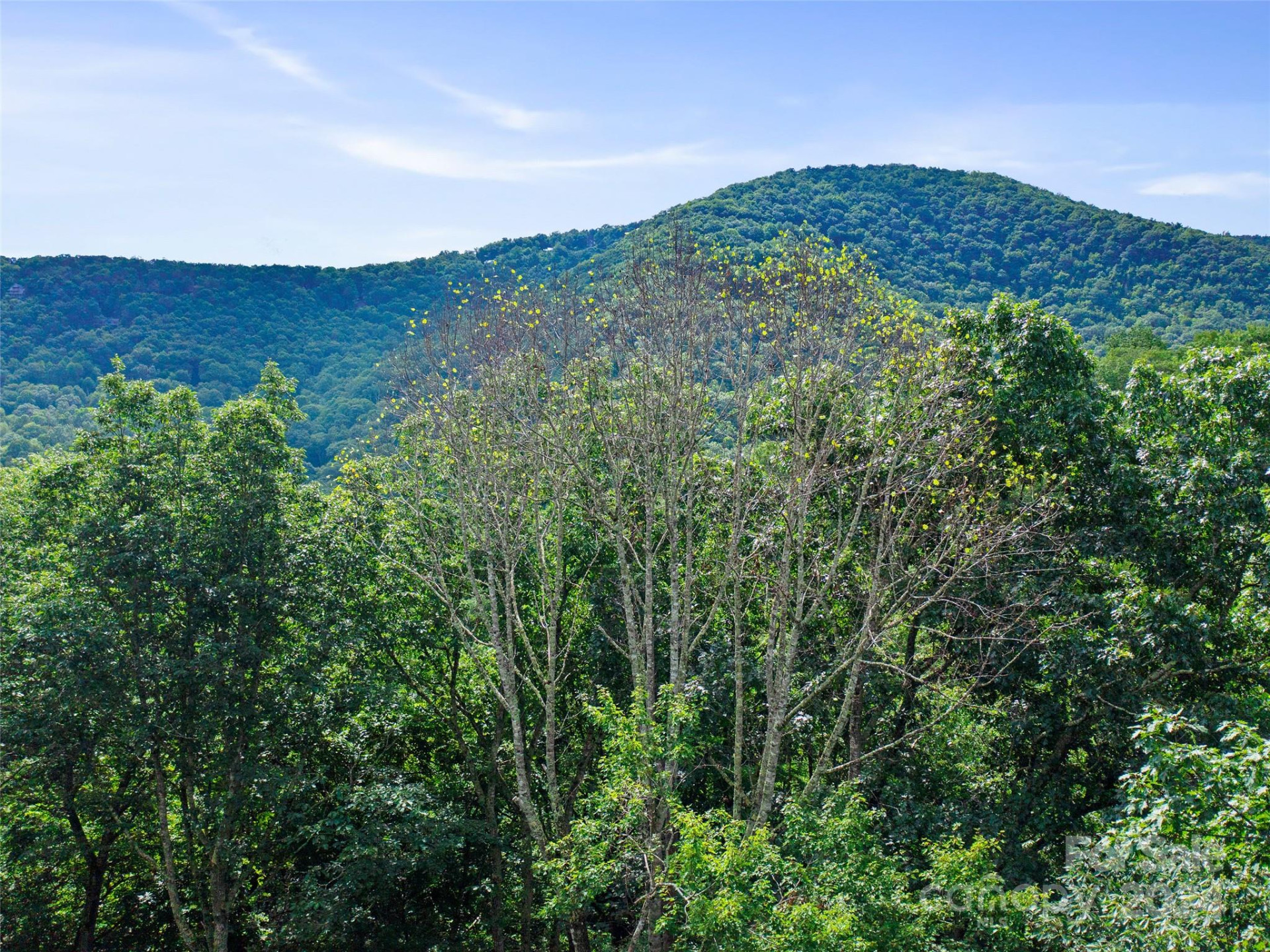 000 Falling Water Drive - Photo 20