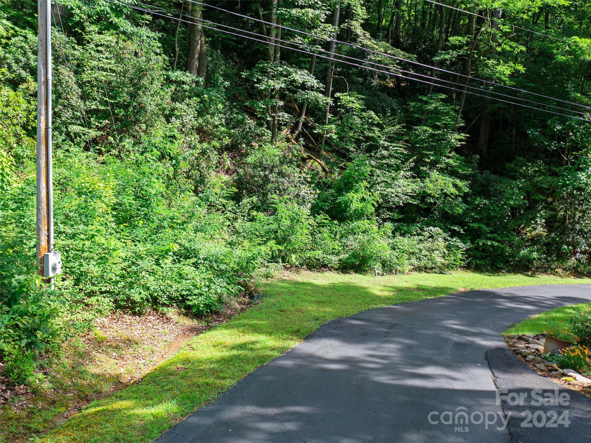 000 Falling Water Drive - Photo 4