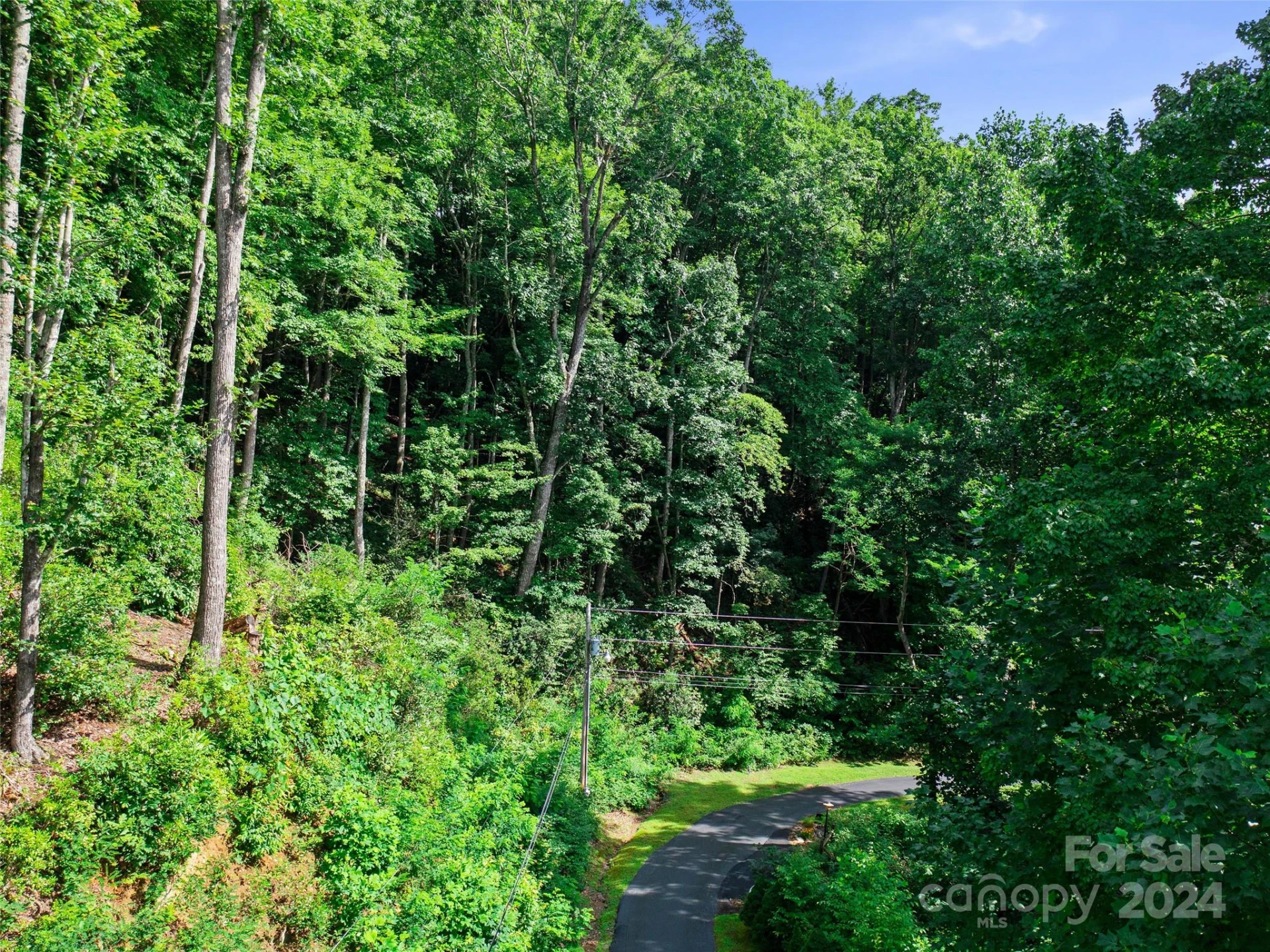 000 Falling Water Drive - Photo 5