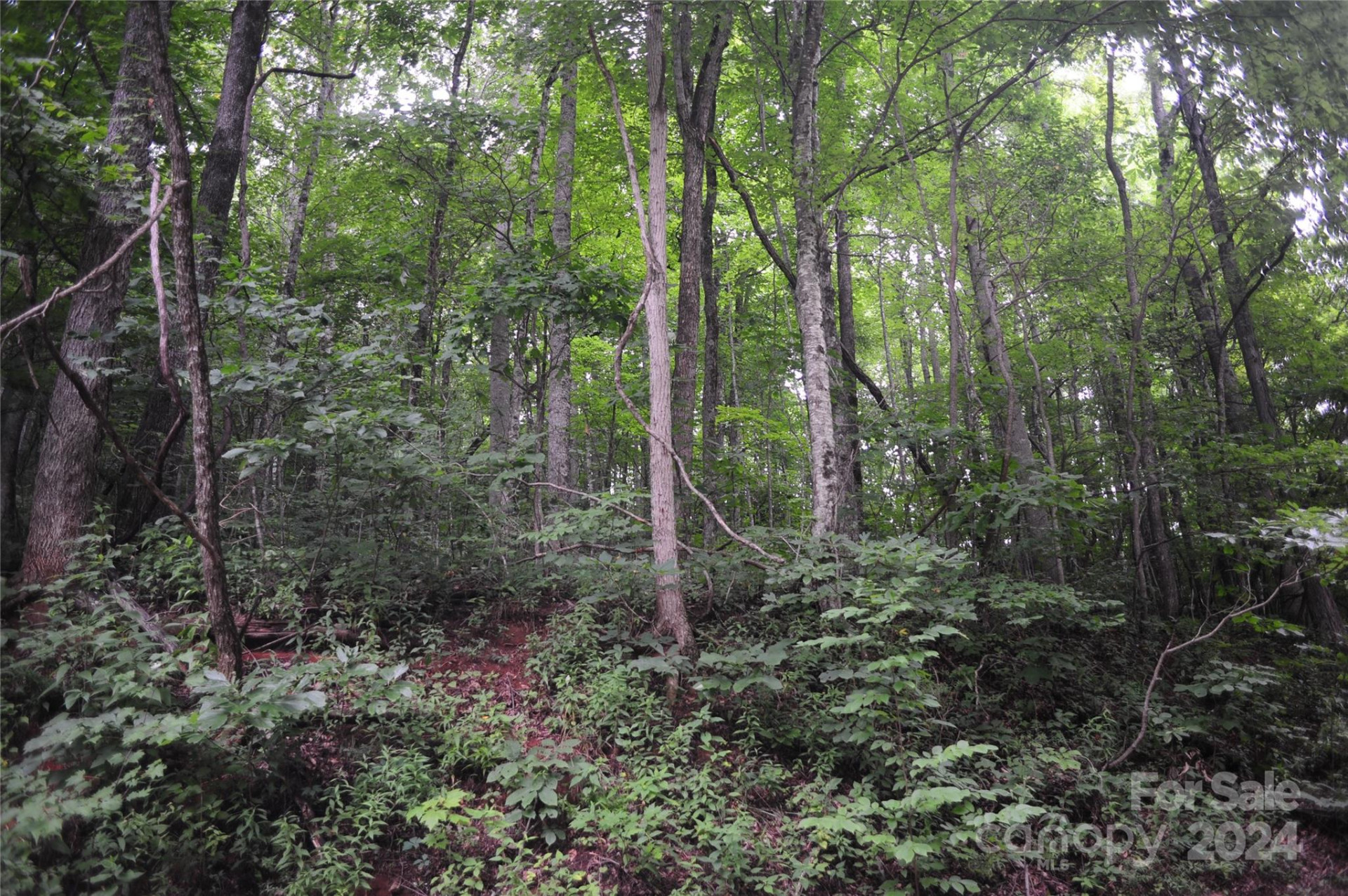 54 Great Aspen Way #701 - Photo 3