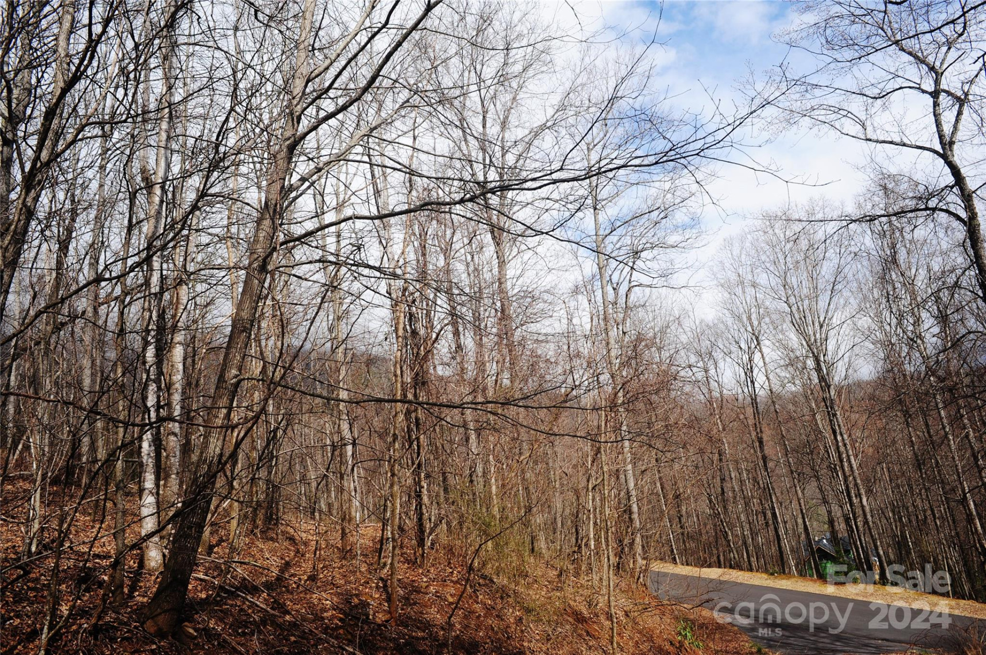 54 Great Aspen Way #701 - Photo 4