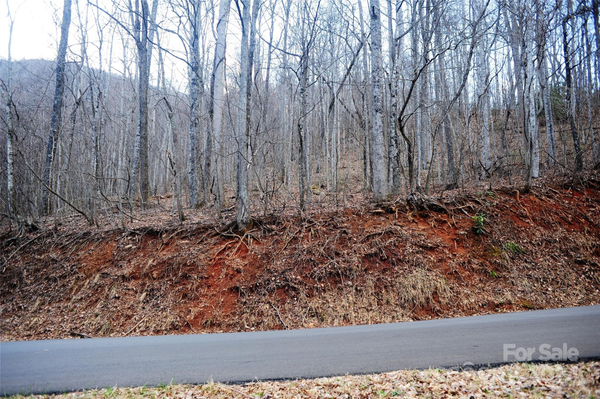 54 Great Aspen Way #701 - Photo 6