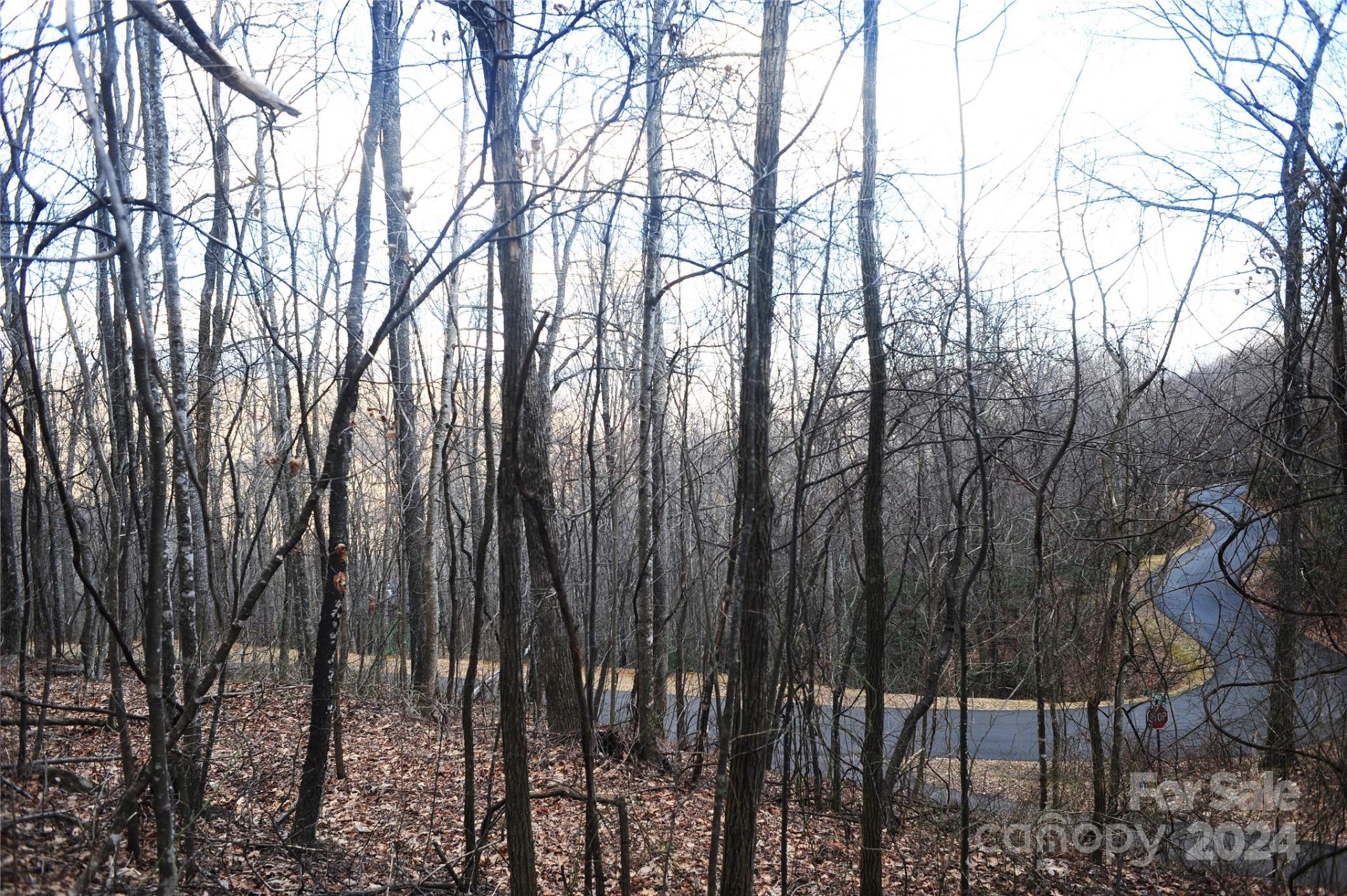 54 Great Aspen Way #701 - Photo 7