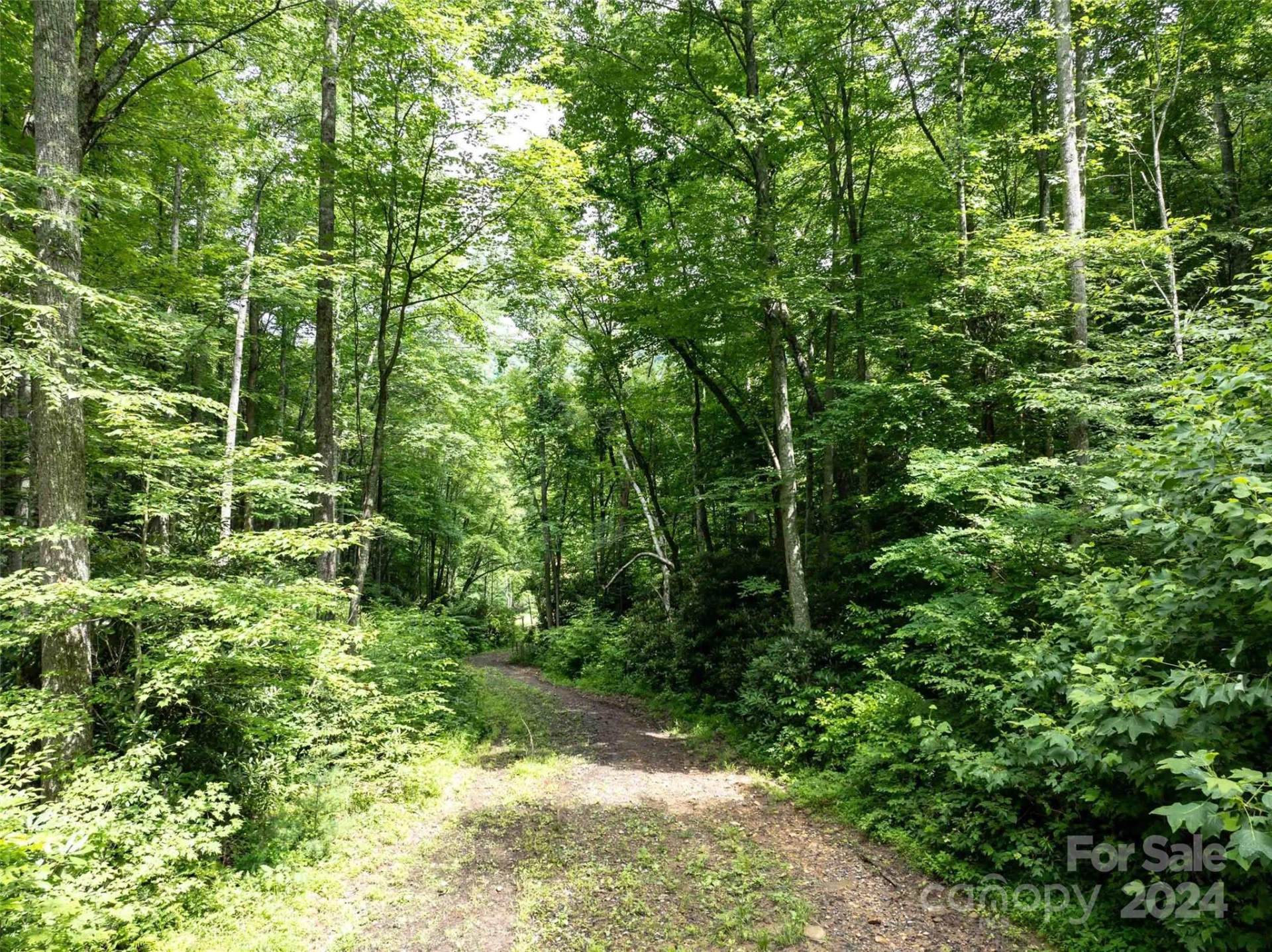 00 Waterwheel Cove - Photo 16