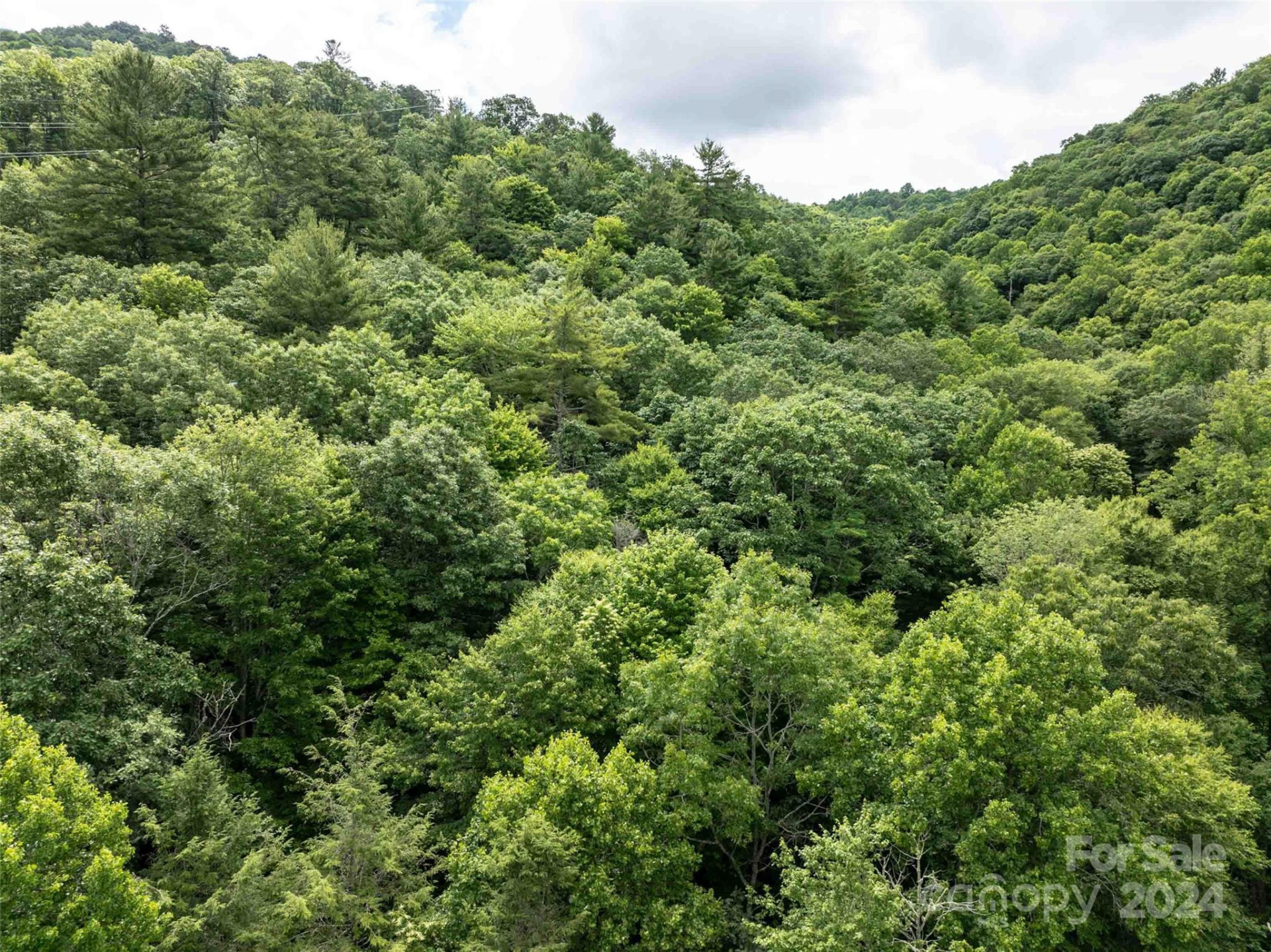 00 Waterwheel Cove - Photo 17