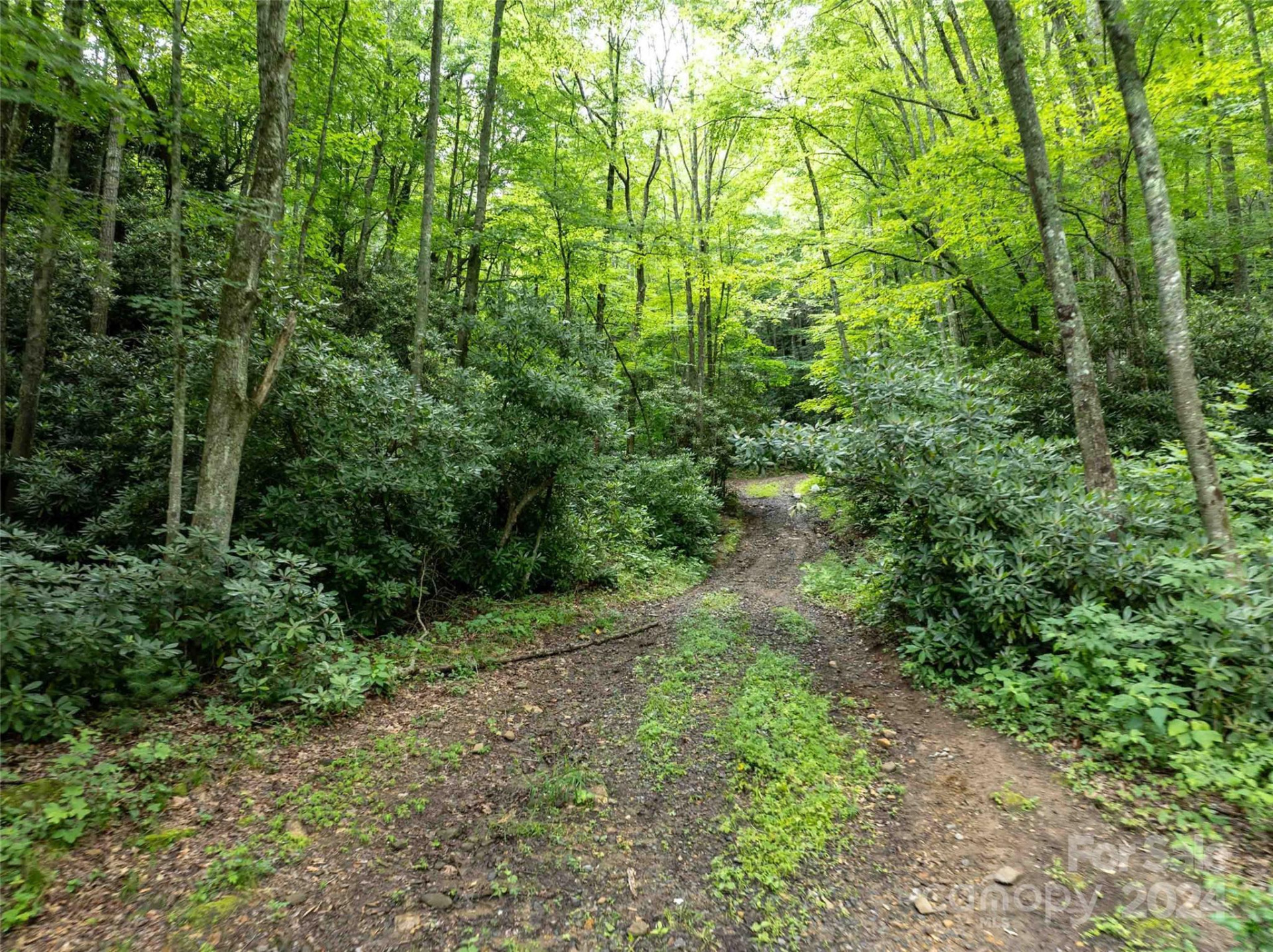 00 Waterwheel Cove - Photo 19