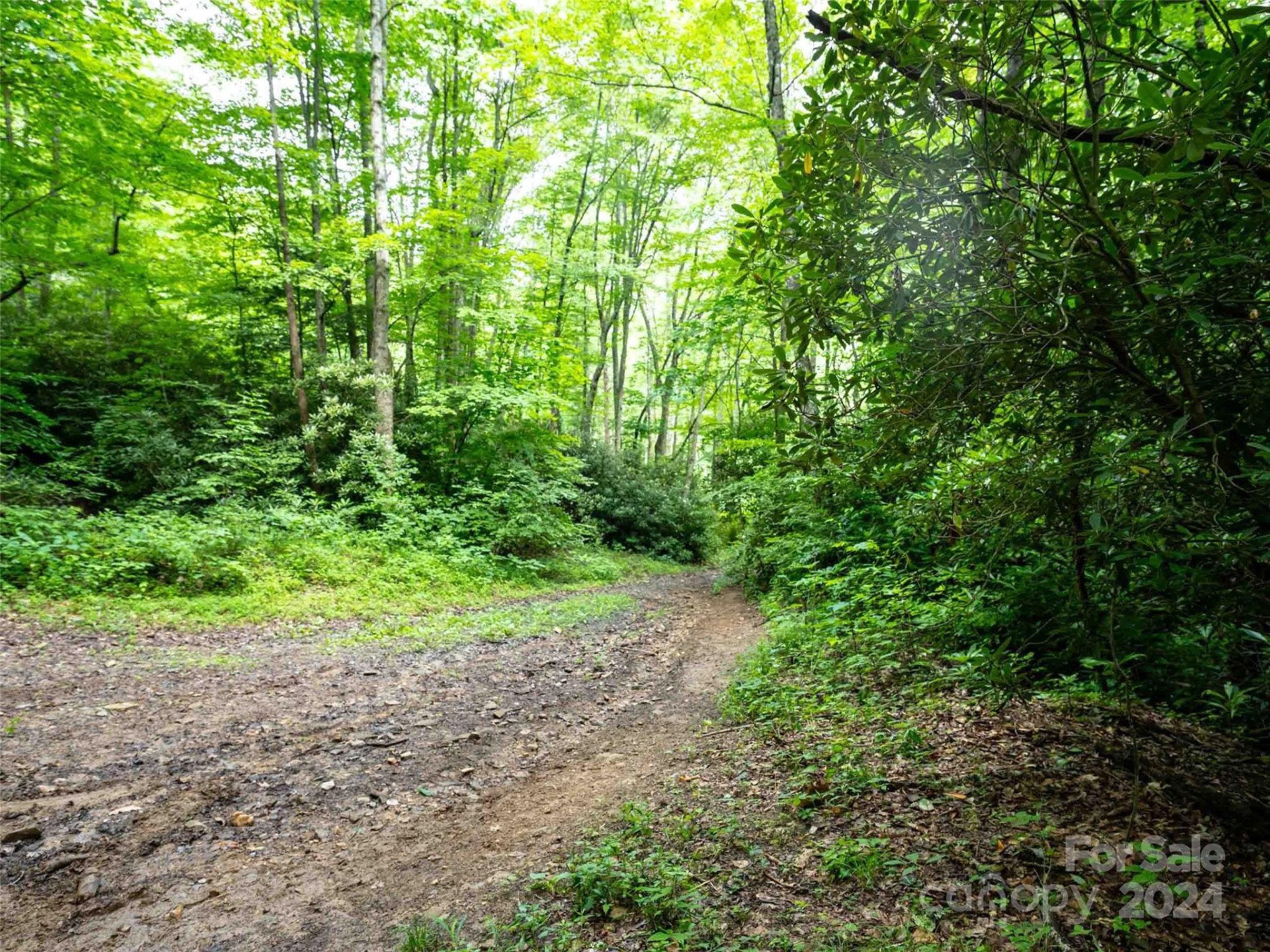 00 Waterwheel Cove - Photo 5