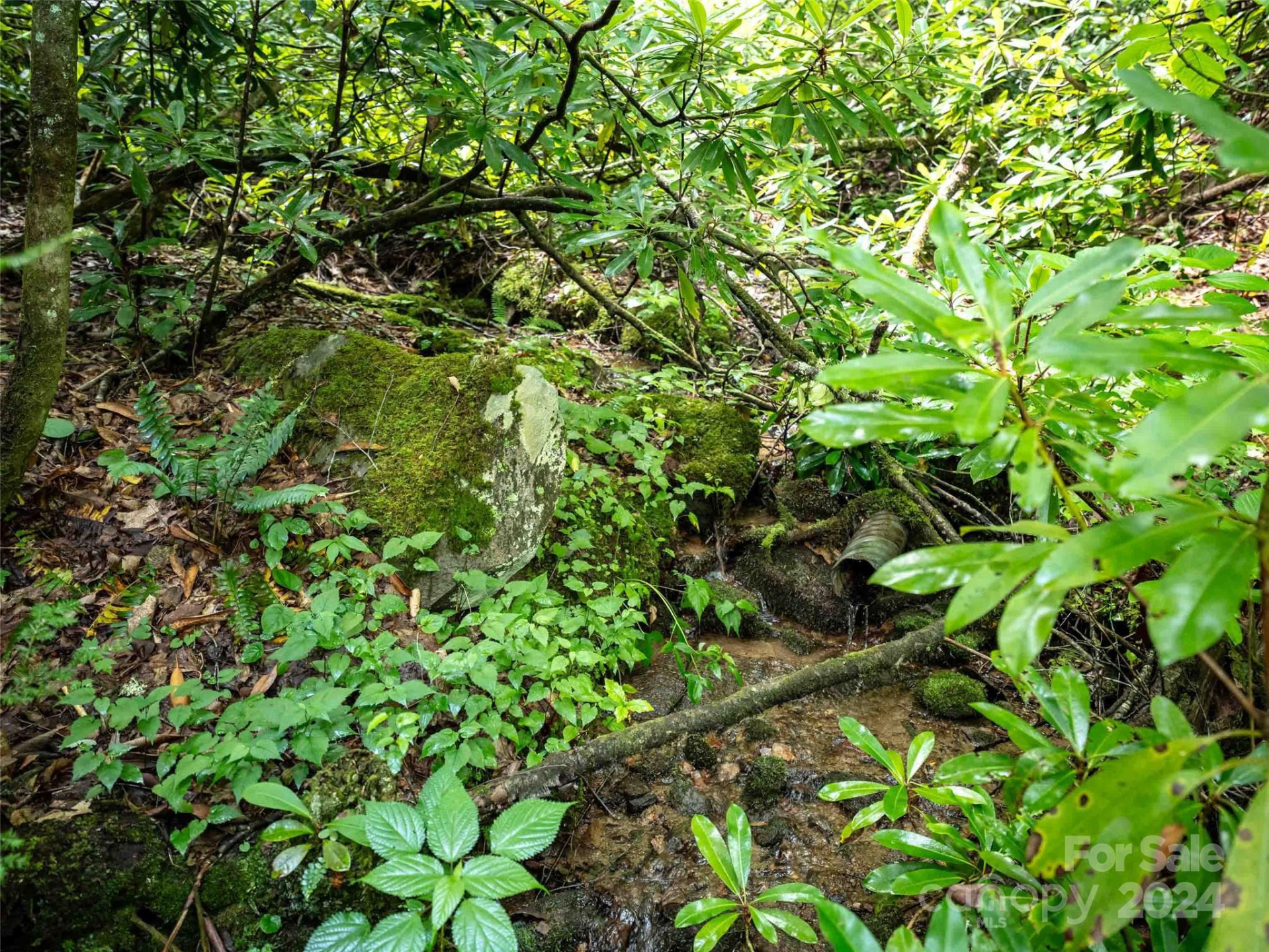 00 Waterwheel Cove - Photo 6