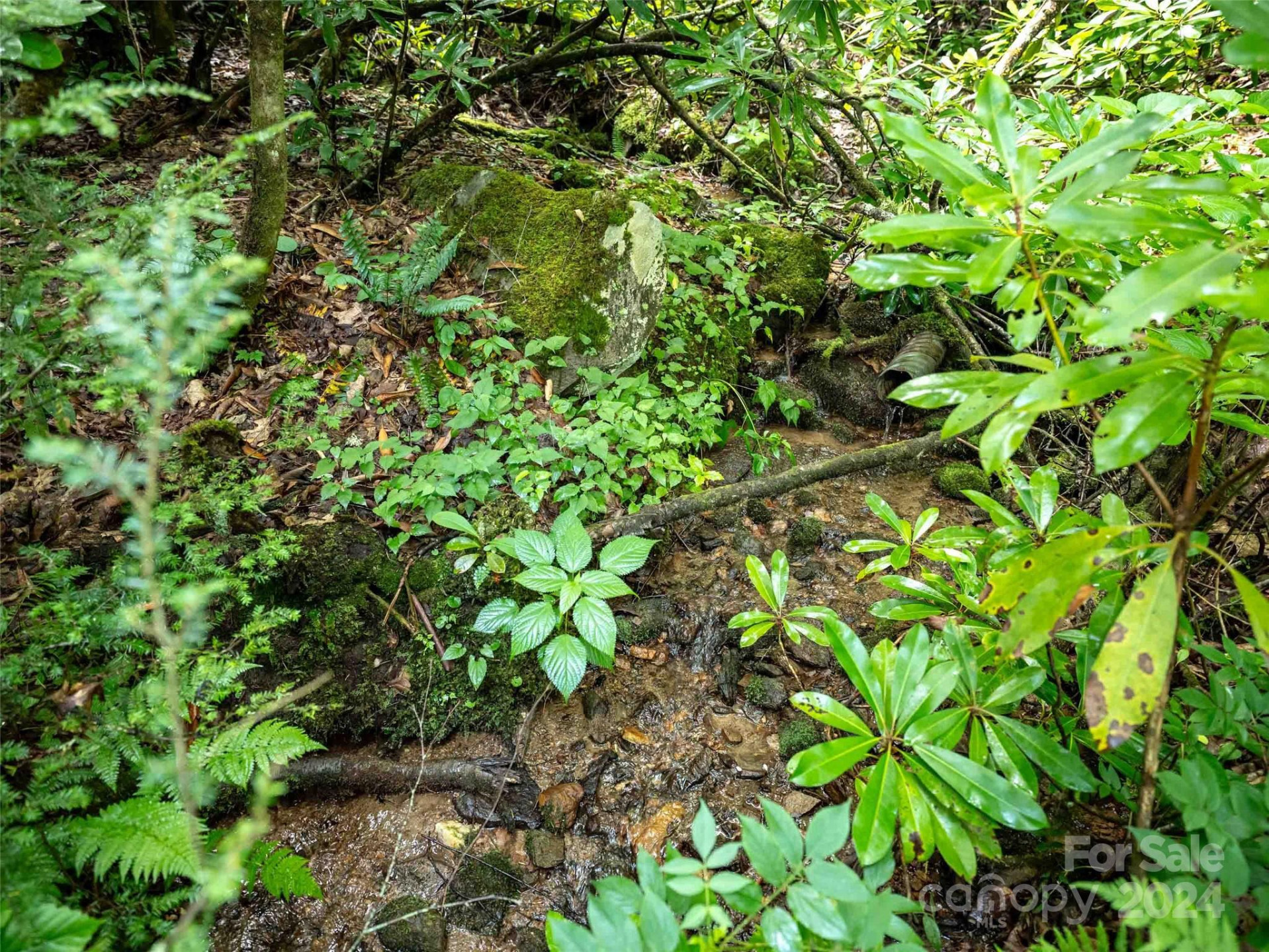 00 Waterwheel Cove - Photo 7