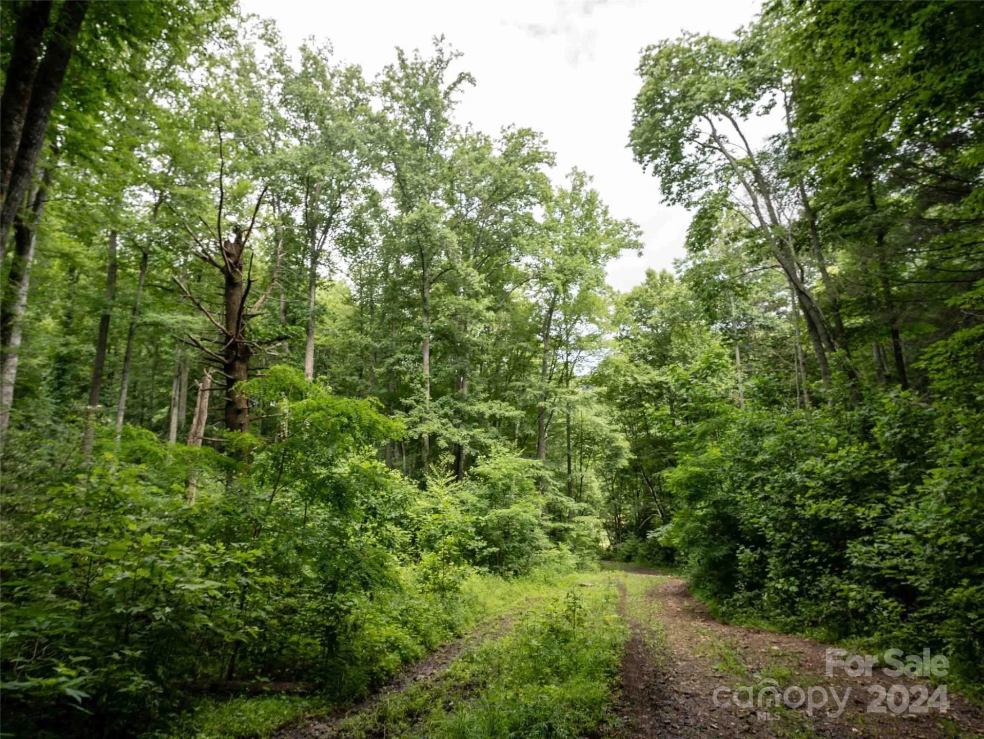 00 Waterwheel Cove - Photo 8