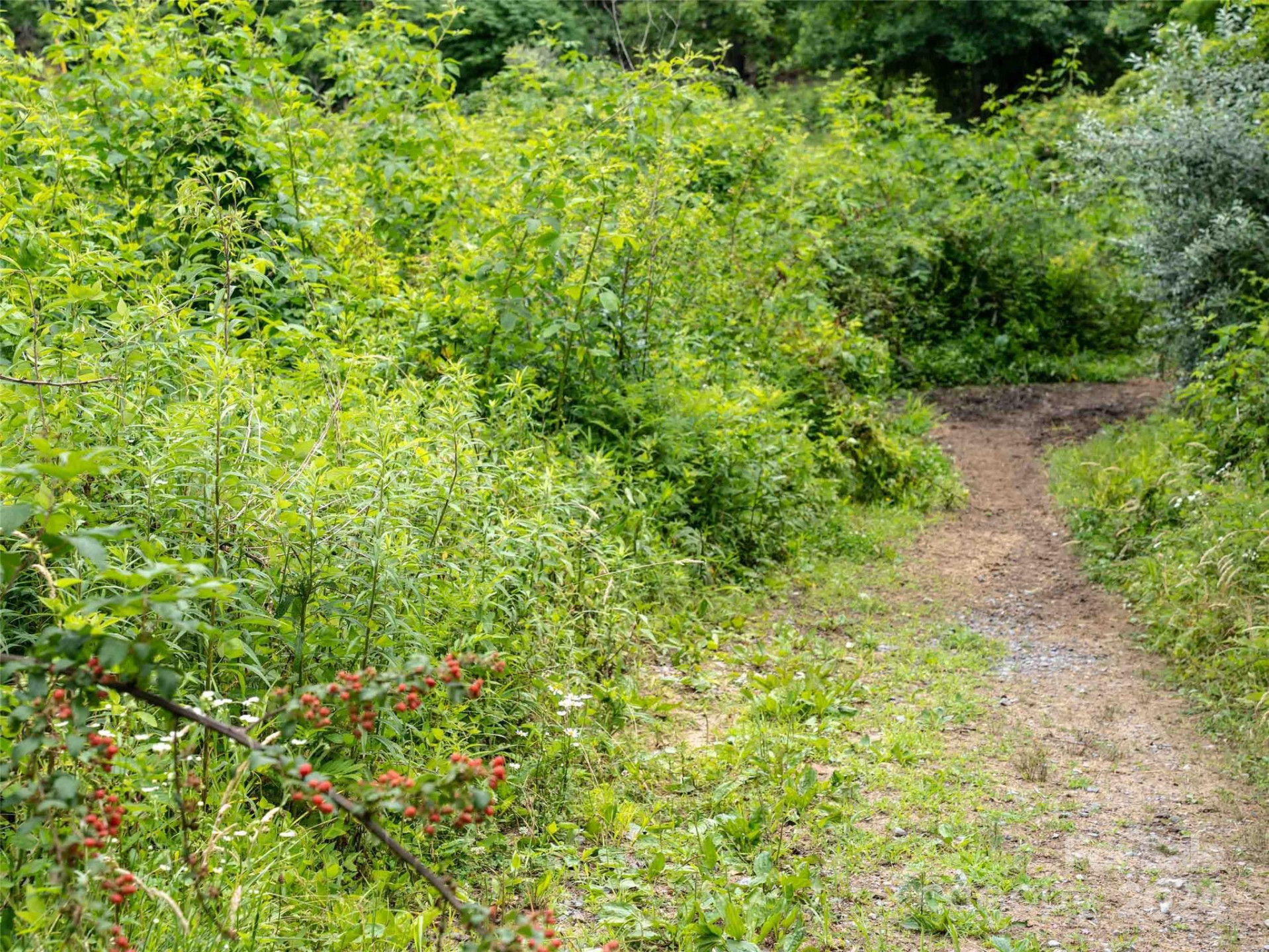 00 Waterwheel Cove - Photo 9