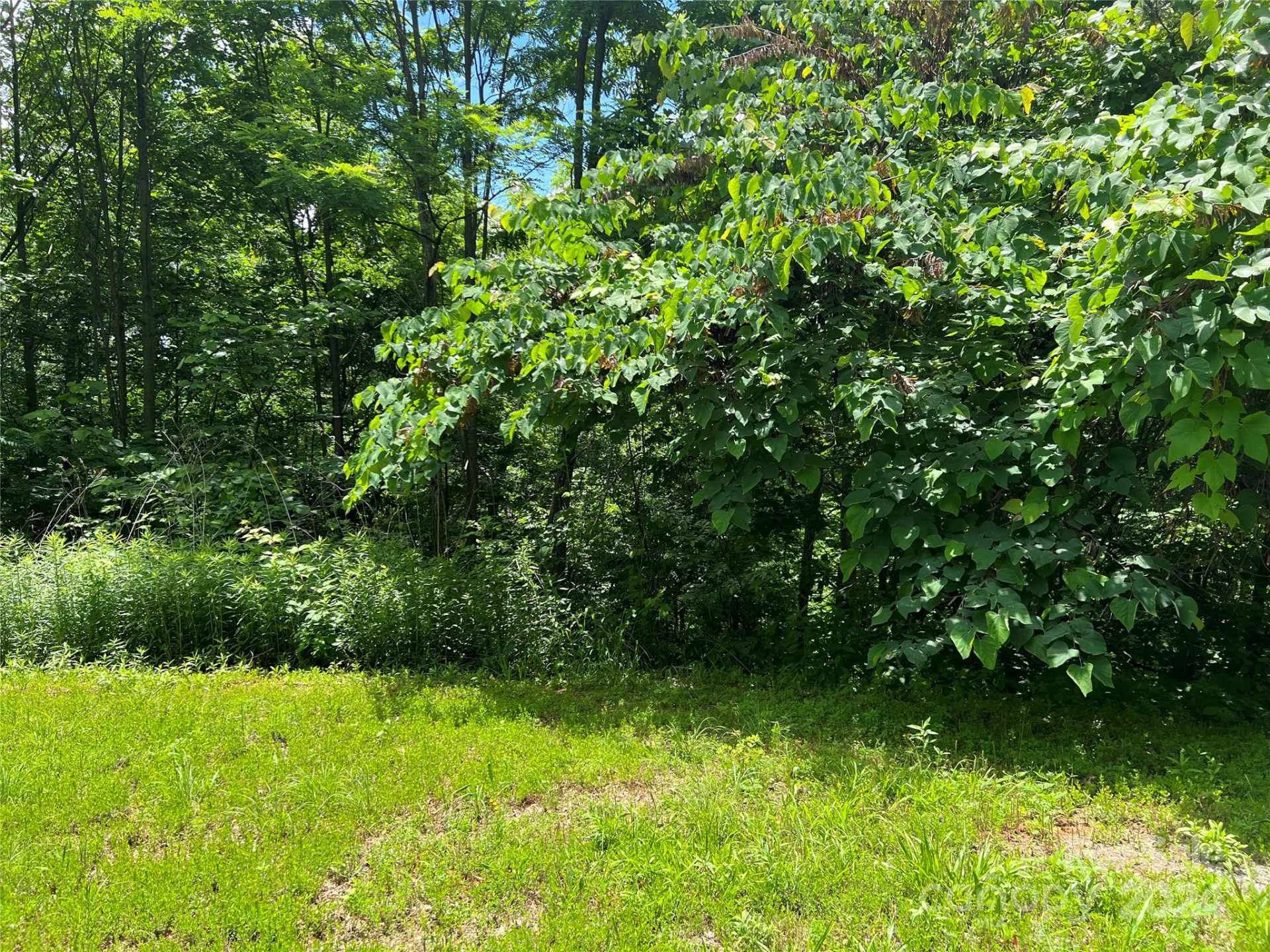 0000 Eamon Drive #149 - Photo 3