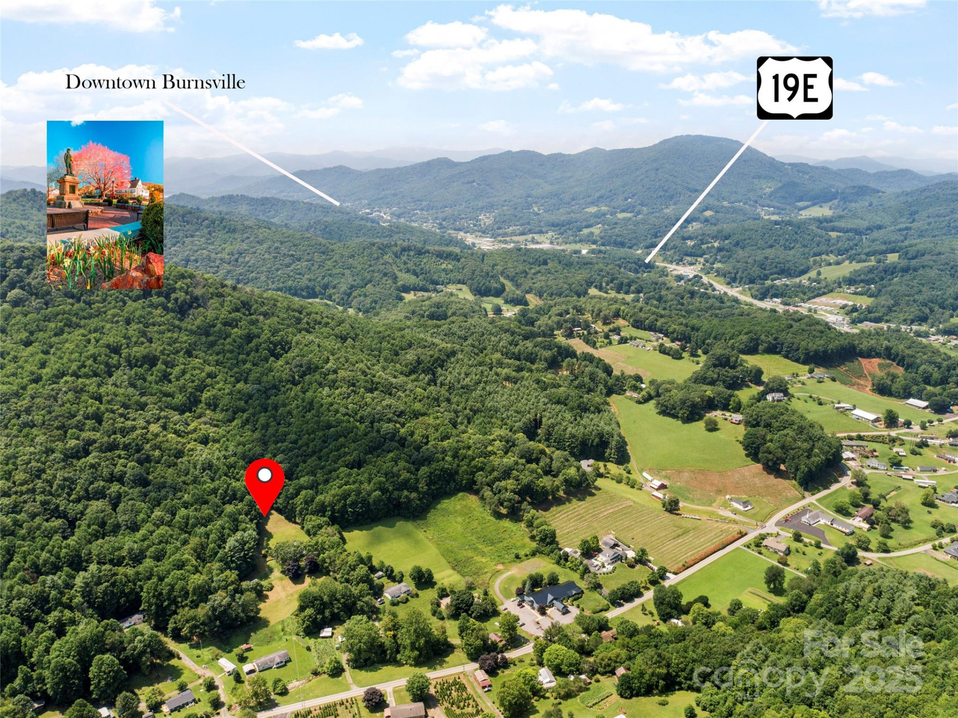 145 Appalachian Drive - Photo 4