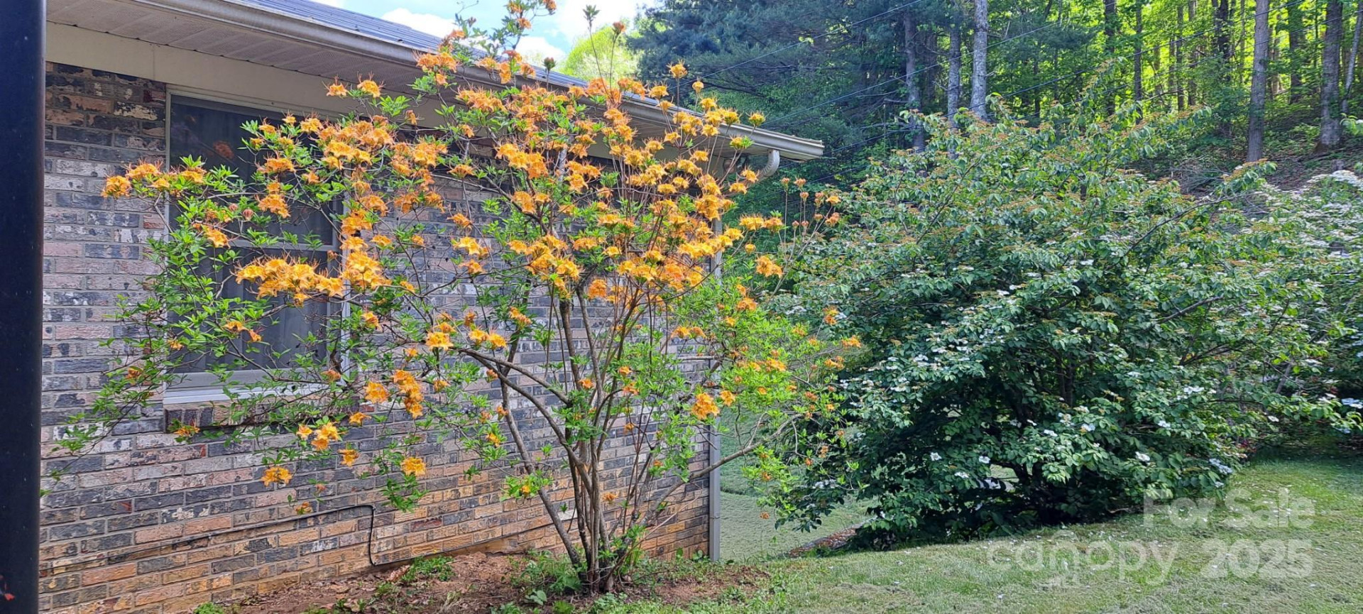 145 Appalachian Drive - Photo 40