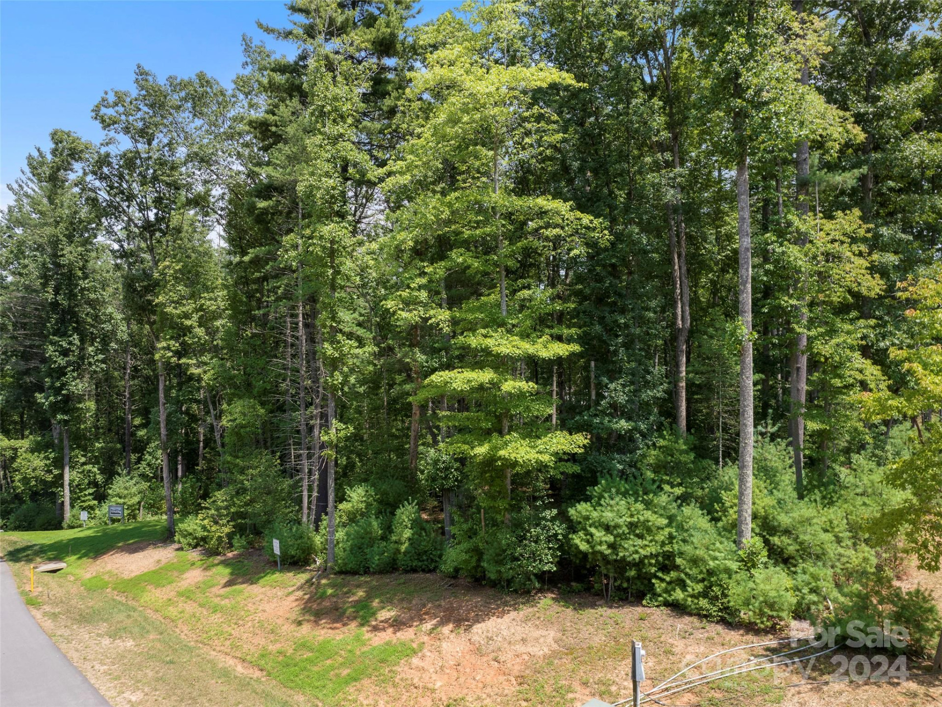 323 Flowering Vine Court #617 - Photo 13