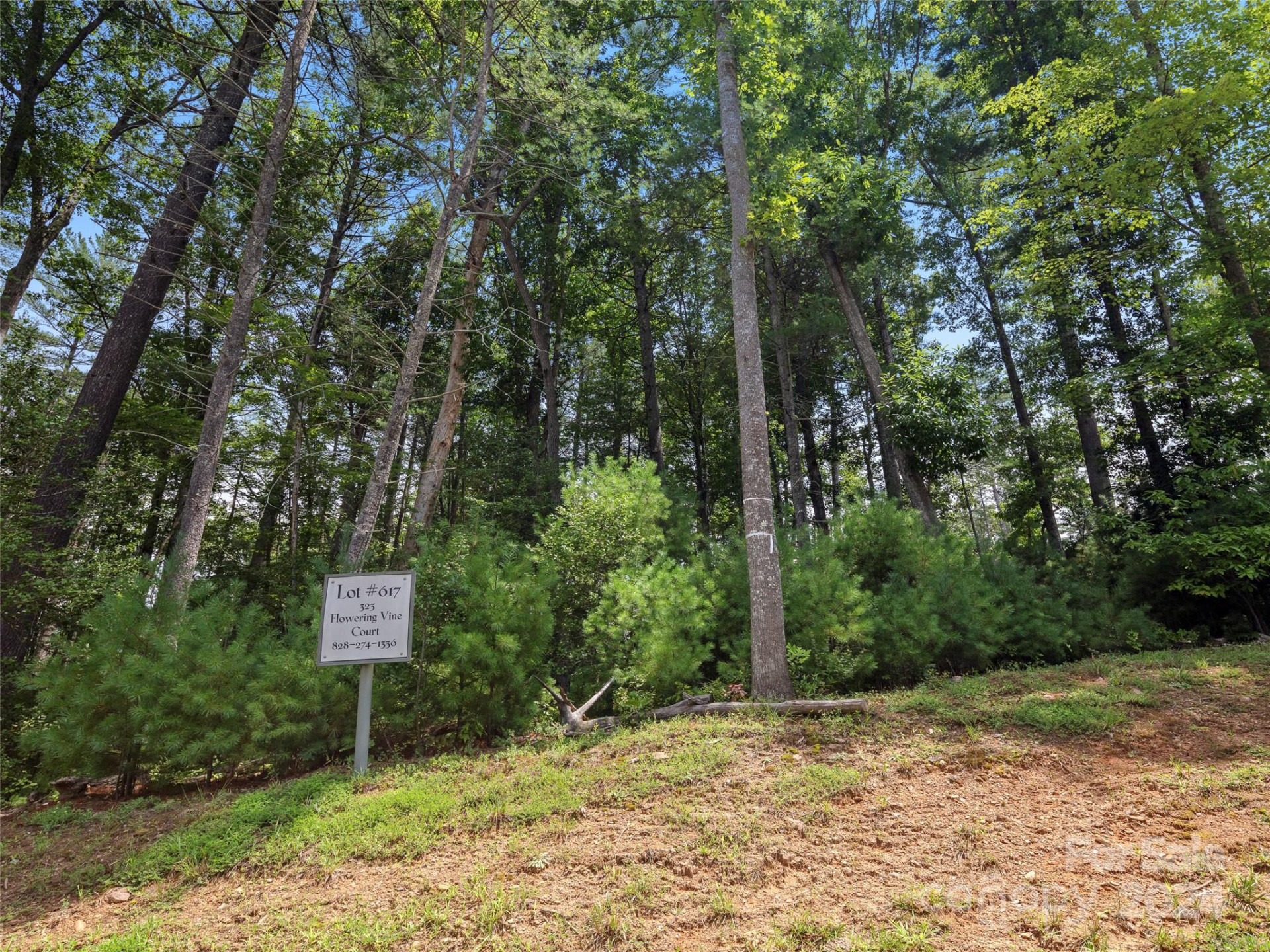 323 Flowering Vine Court #617 - Photo 3